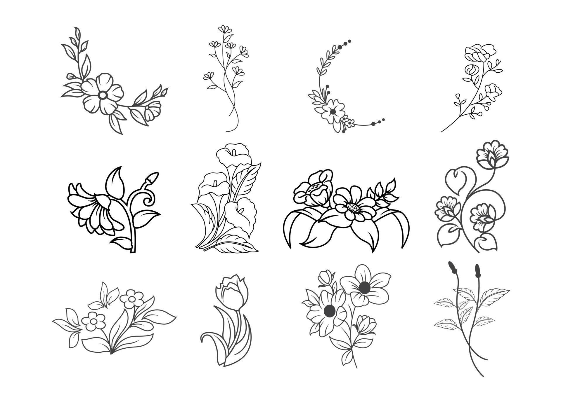 Wild flowers set. Sketch wildflowers and herbs nature botanical elements Stock Free