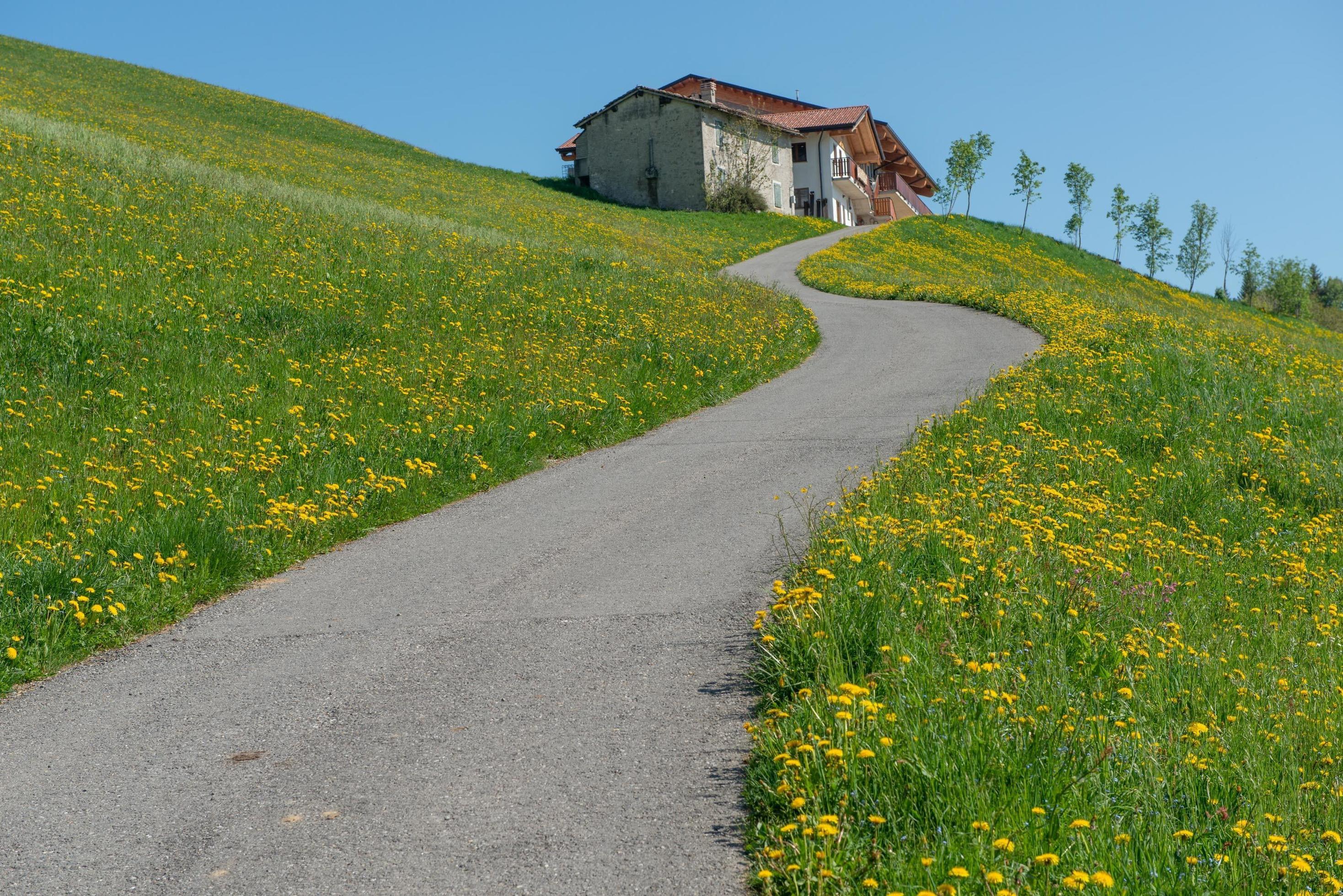 Road that climbs the flowery hill Stock Free