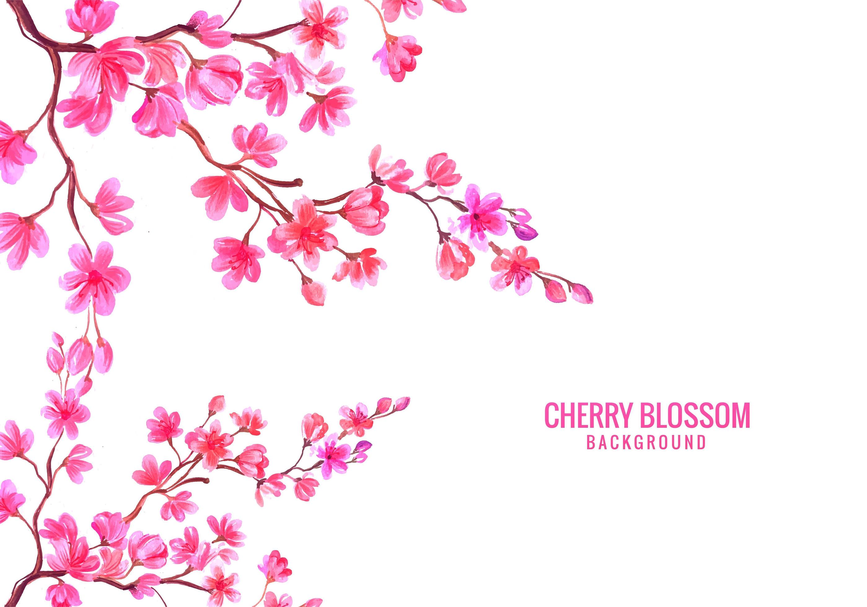 Watercolor Pink Floral Cherry Blossom Background Stock Free