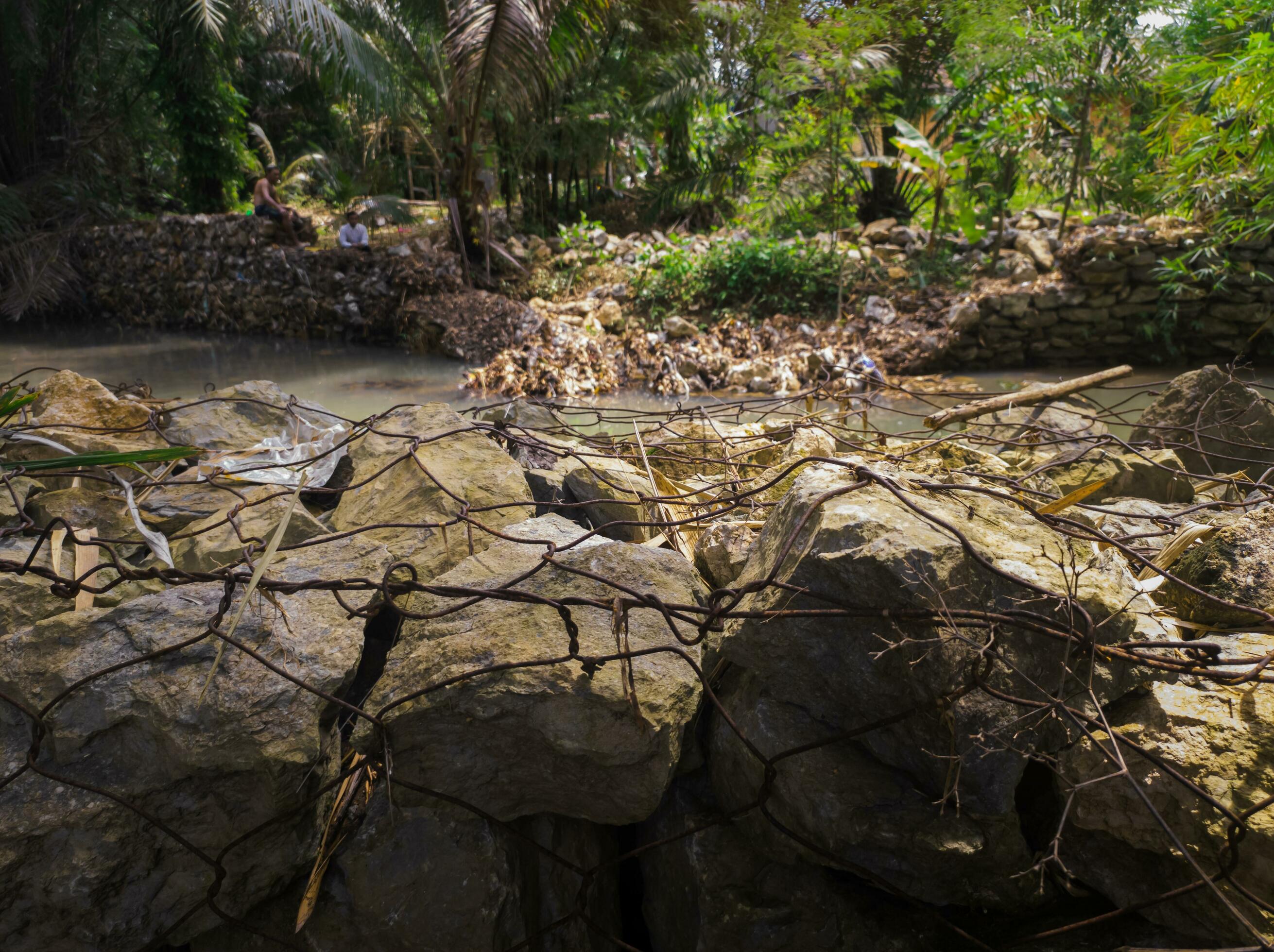 A lush rainforest, full of trees and rocks, winding rivers and streams providing a tranquil backdrop. Nature at its most beautiful Stock Free