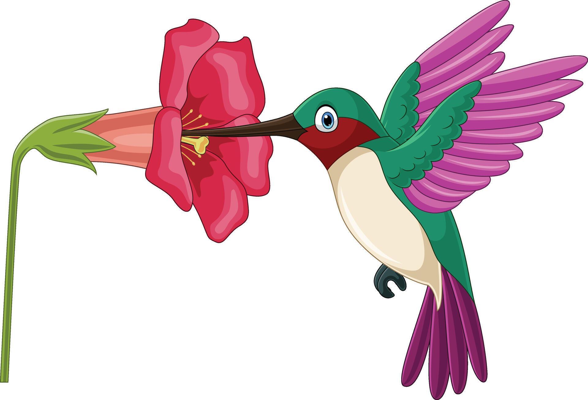 Cartoon hummingbird sipping nectar from flowers Stock Free