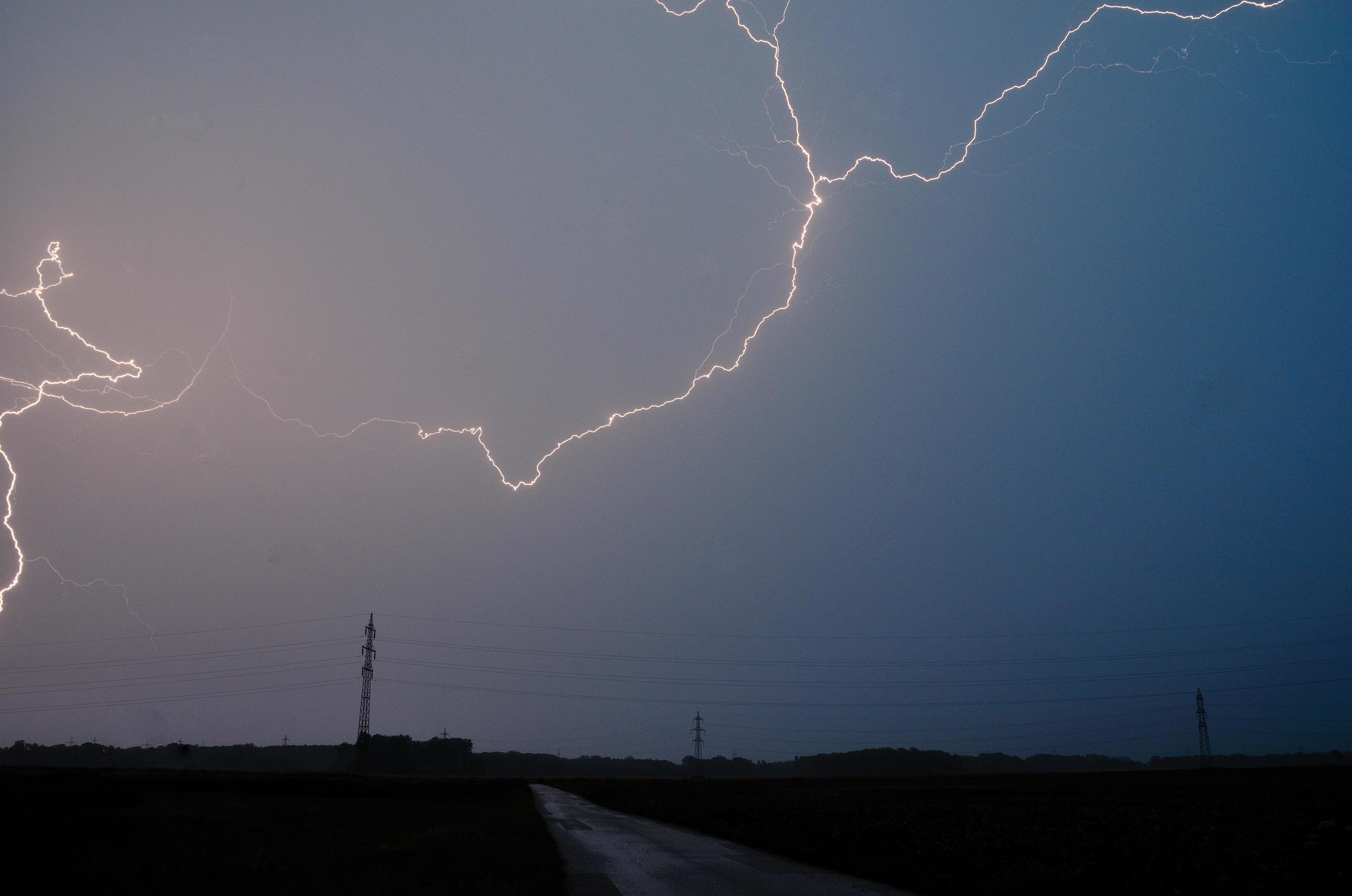 branched lightning on the street Stock Free