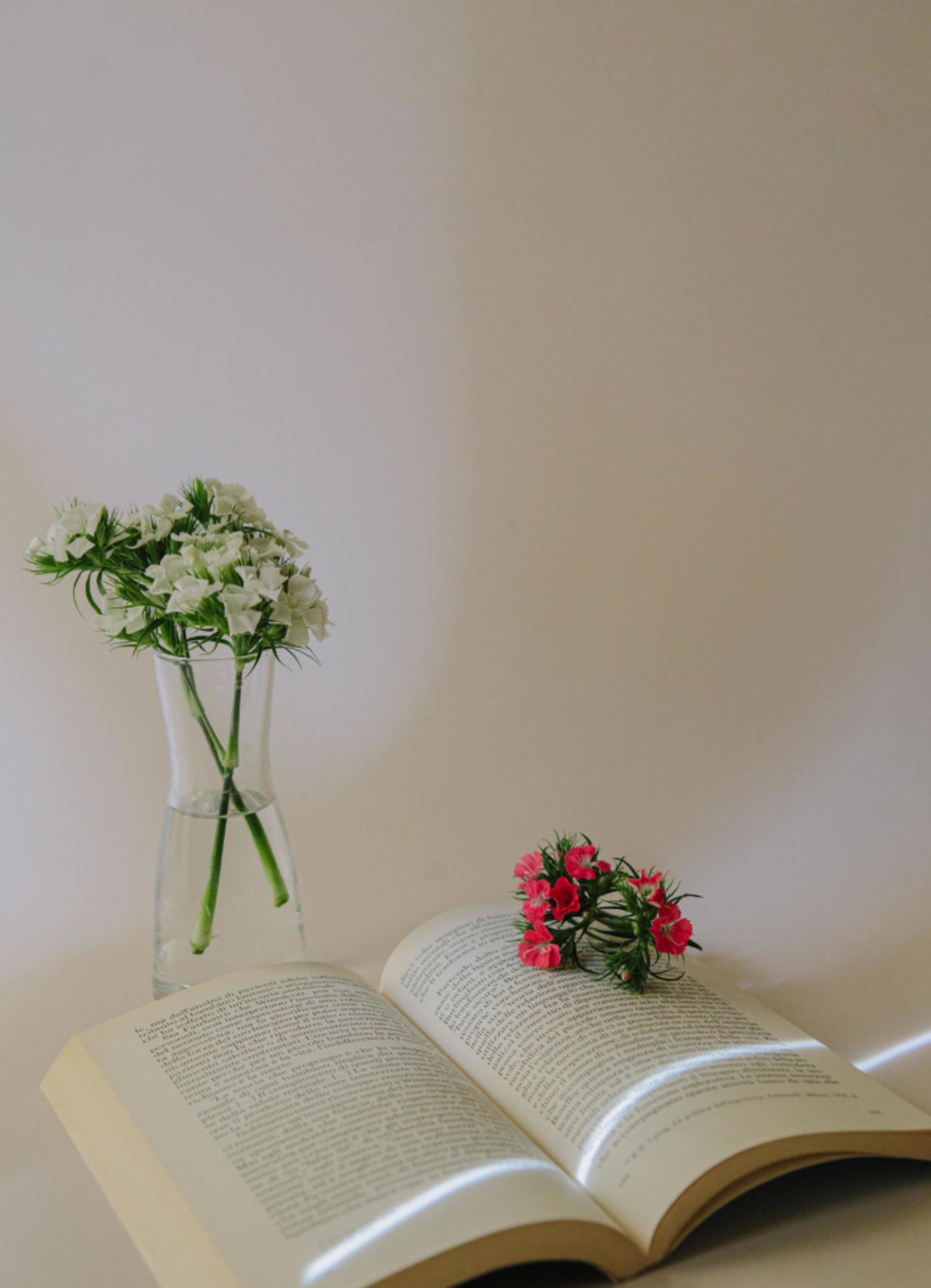 aesthetic background with book and flower Stock Free