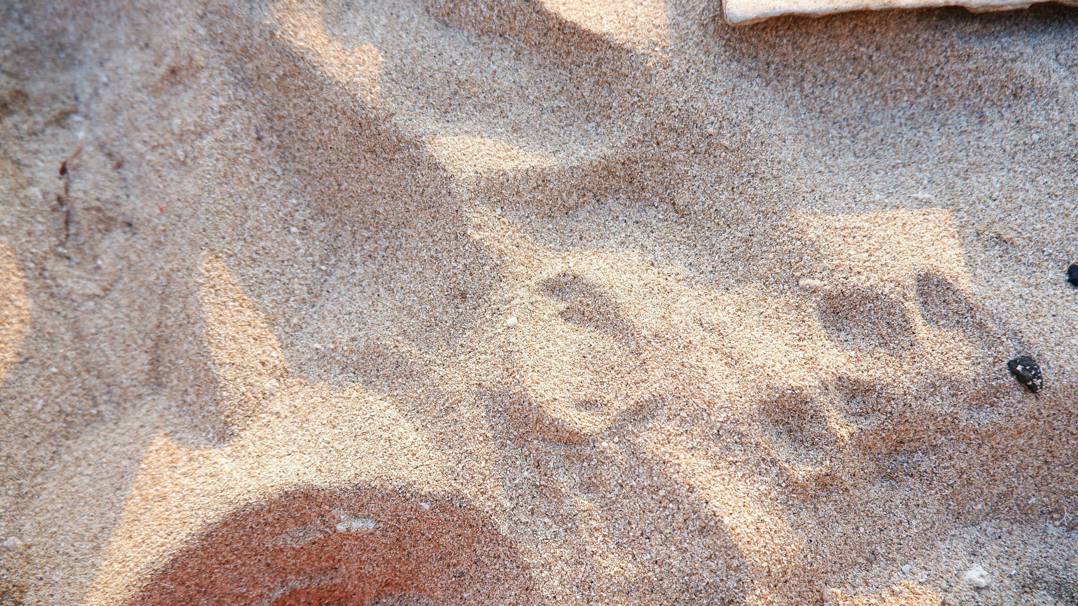 Full frame shot. Close up sand texture on beach in summer. Nature of sand on the beach. White beach sand of texture Stock Free