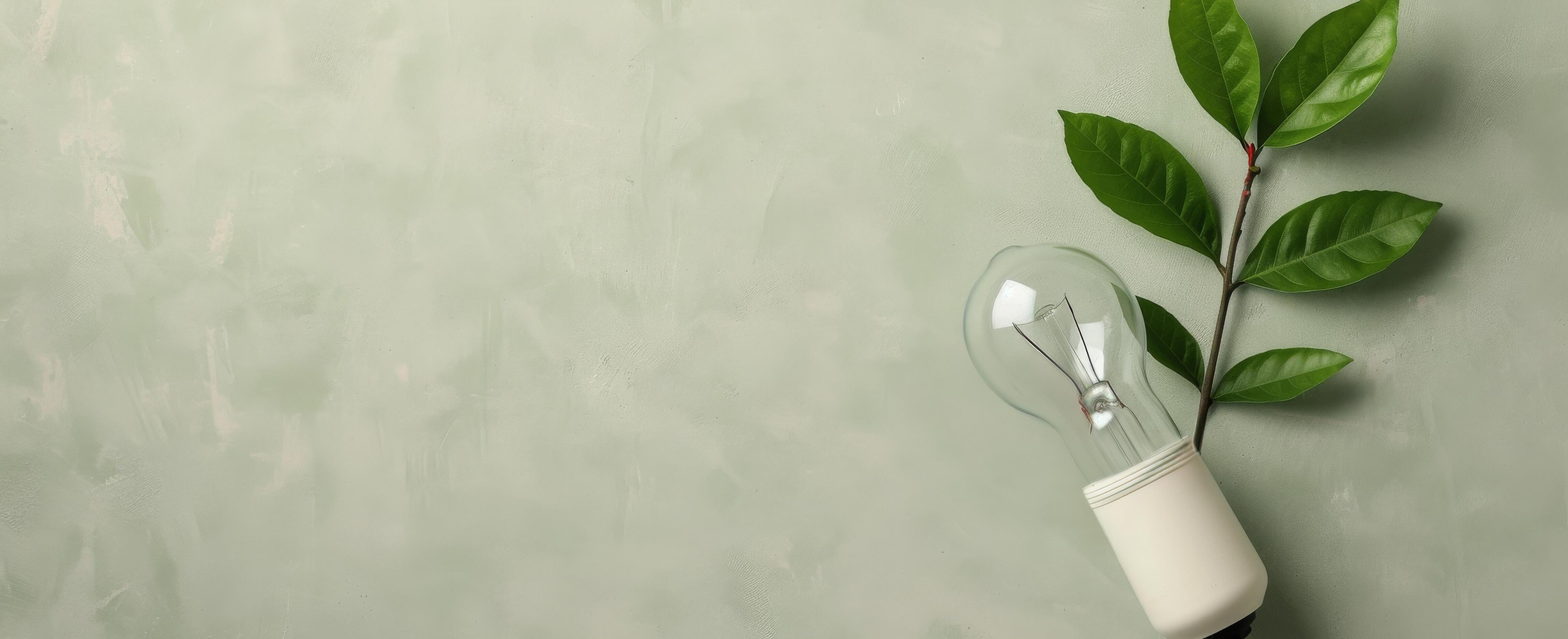 Eco-Friendly Lightbulb With Leaves Against a Green Background Stock Free