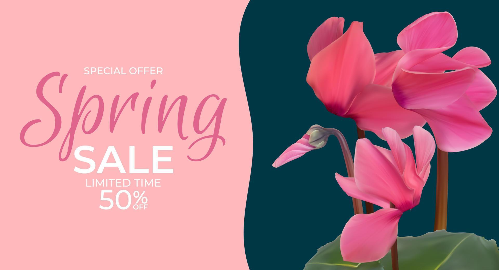 Spring Special Offer Sale Background Poster Natural Cyclamen Flowers and Leaves Template. Vector Illustration Stock Free