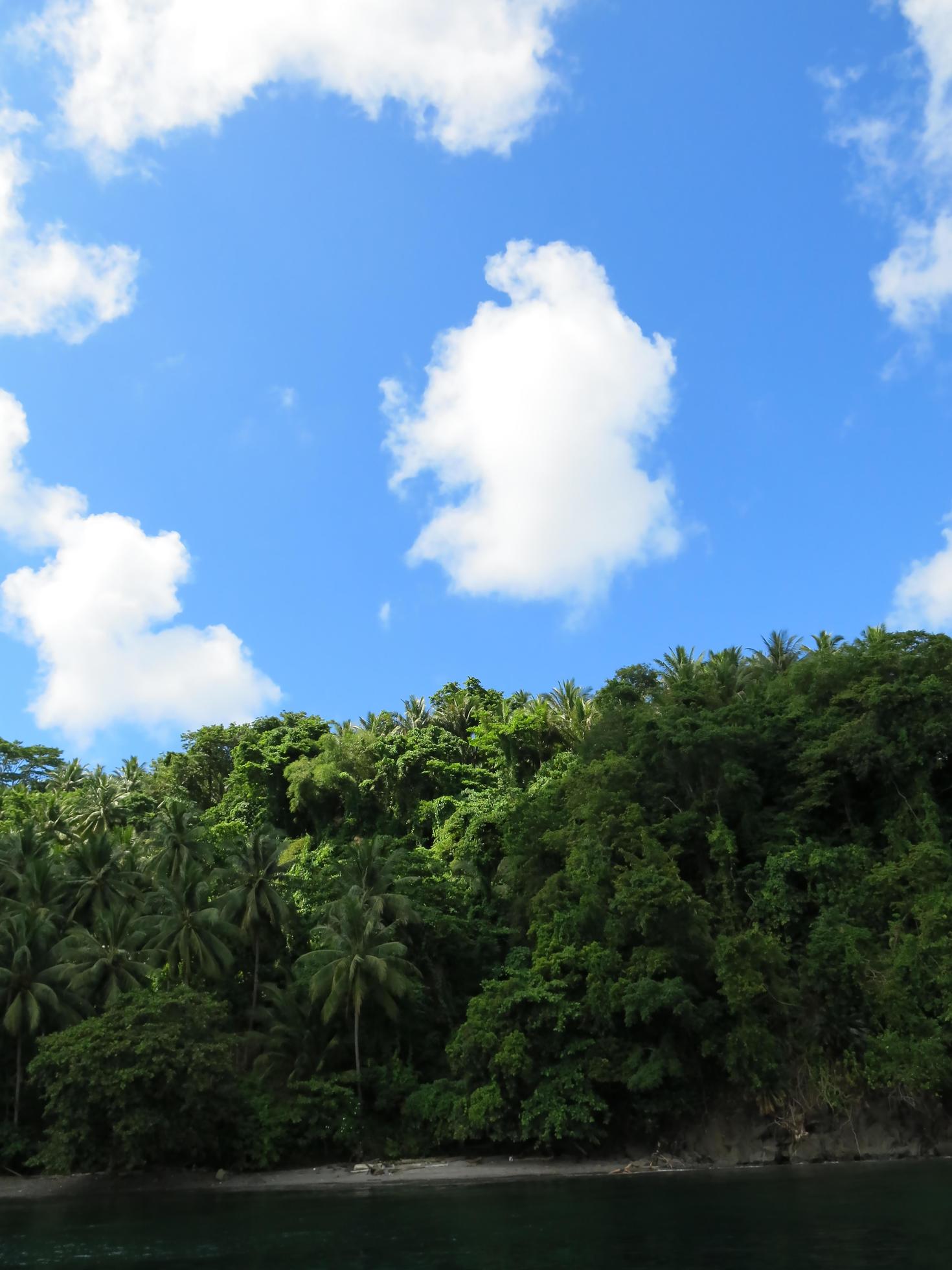 The nature of the Lembeh Strait. Stock Free