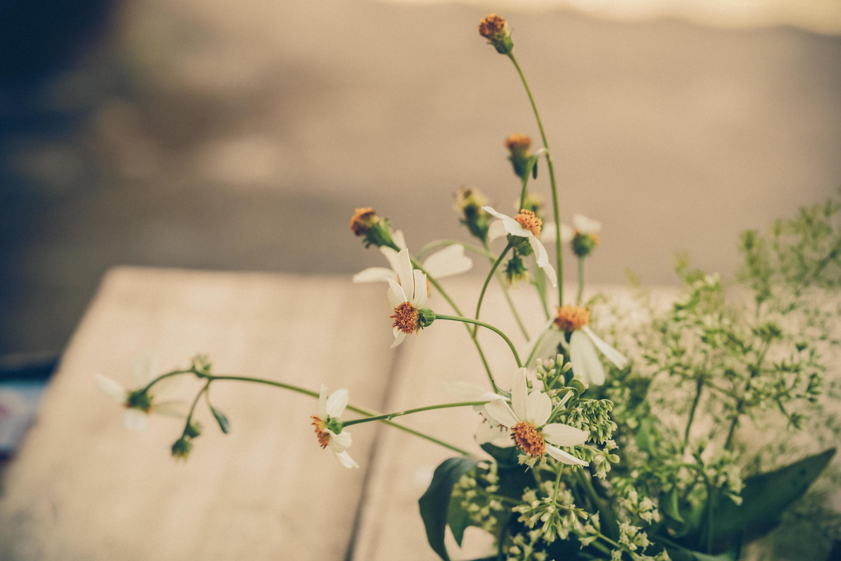 Decoration with small flowers on wood Stock Free