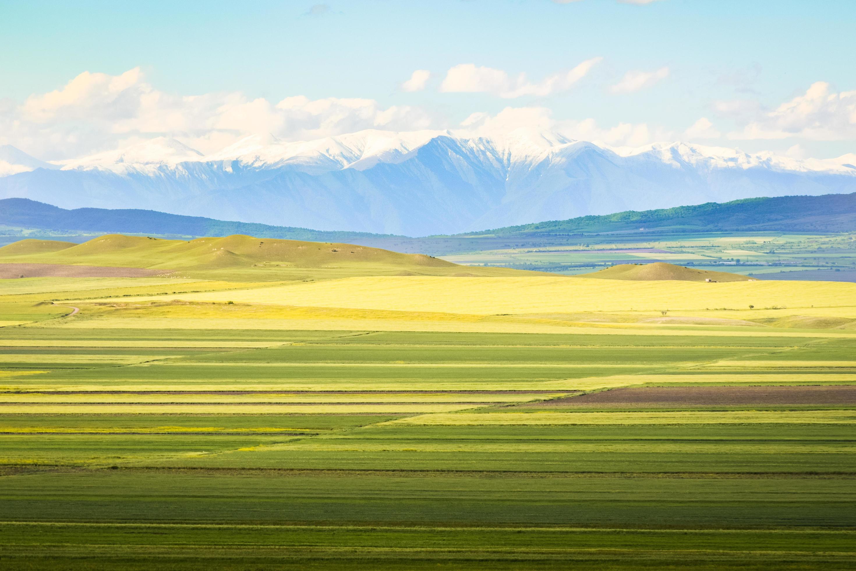 Agricultural fields in alazani valley with caucasus mountains background Stock Free