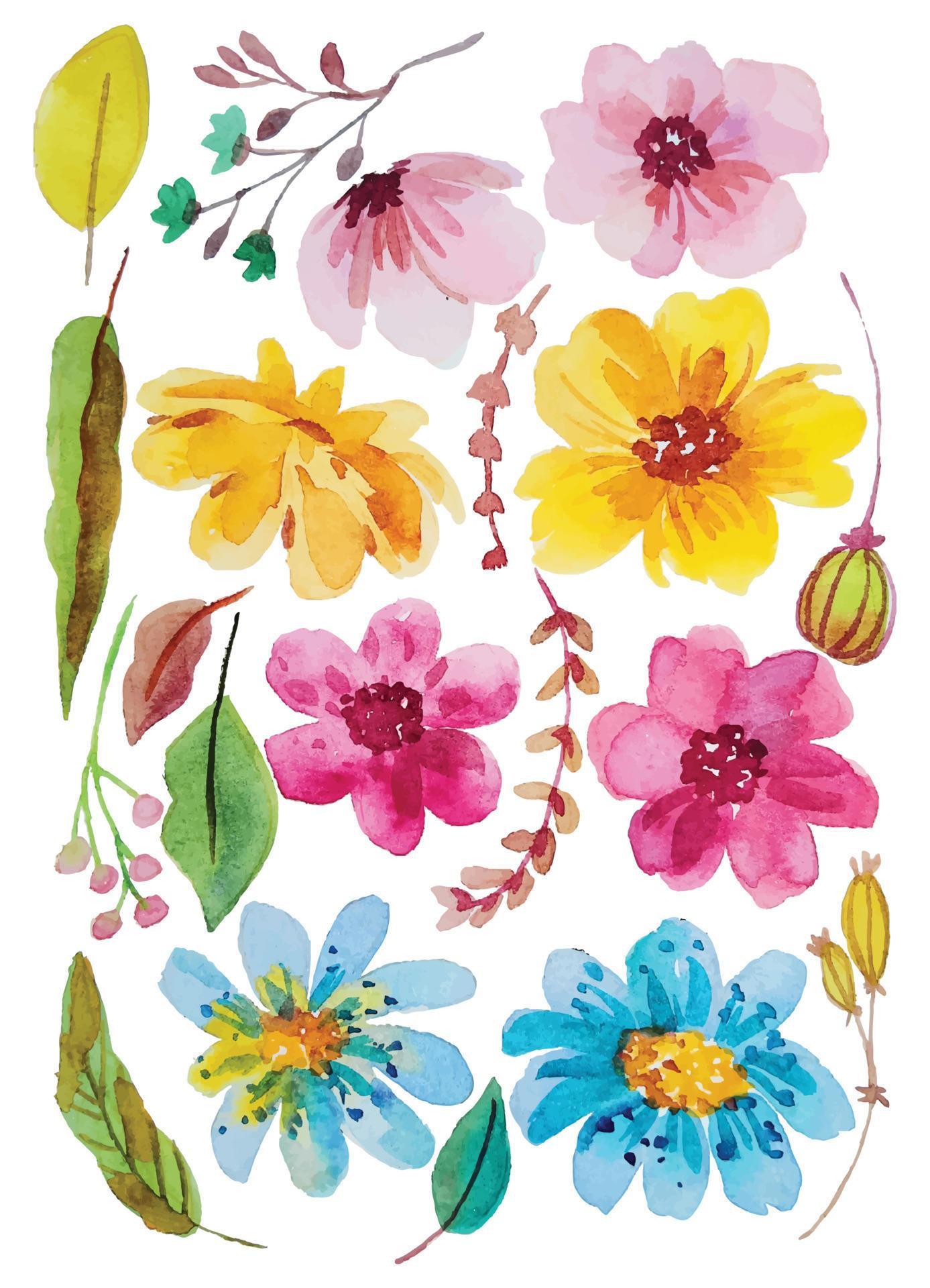 watercolor flower elements clipart Stock Free