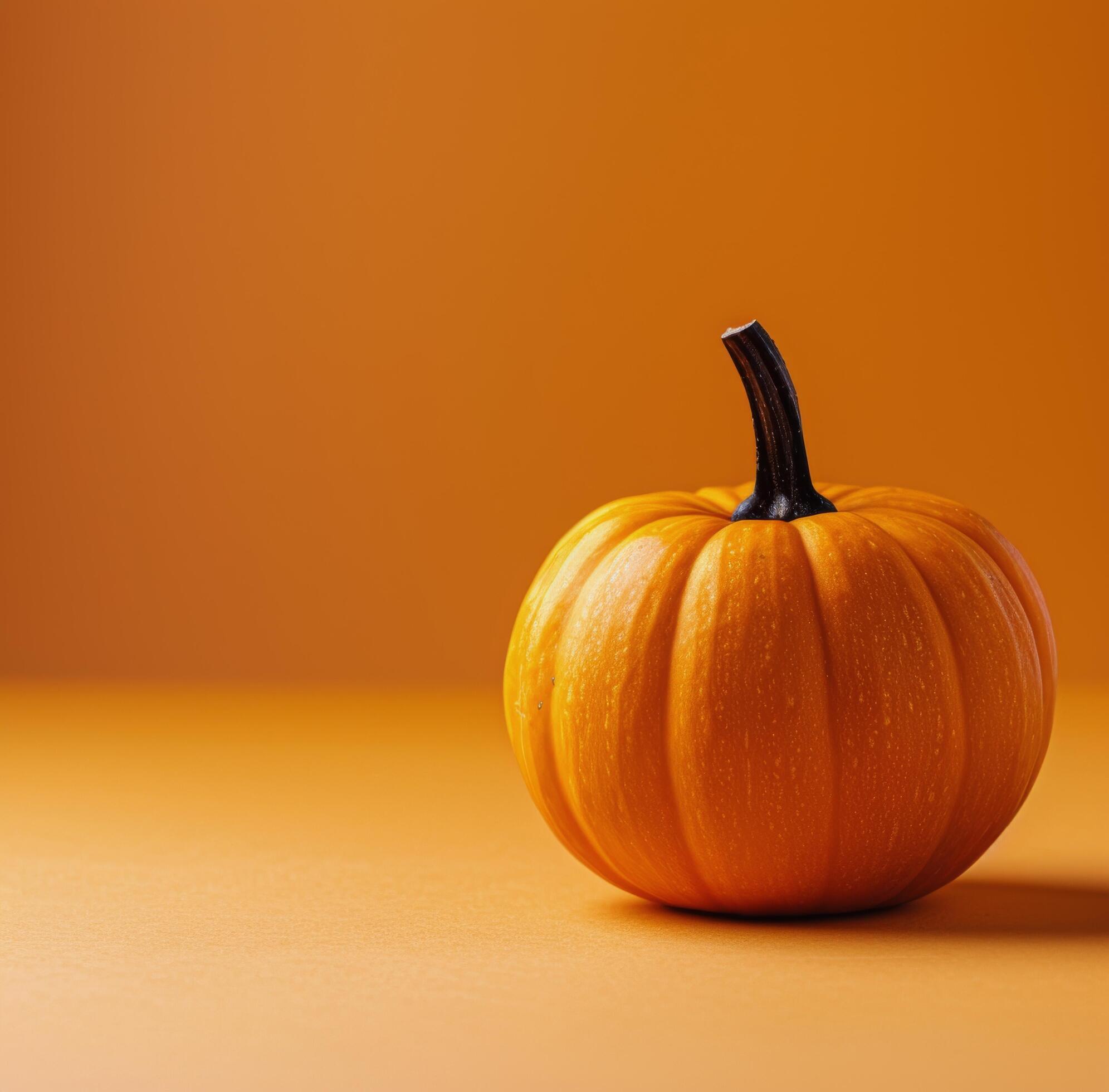 Single Pumpkin On Orange Background Stock Free