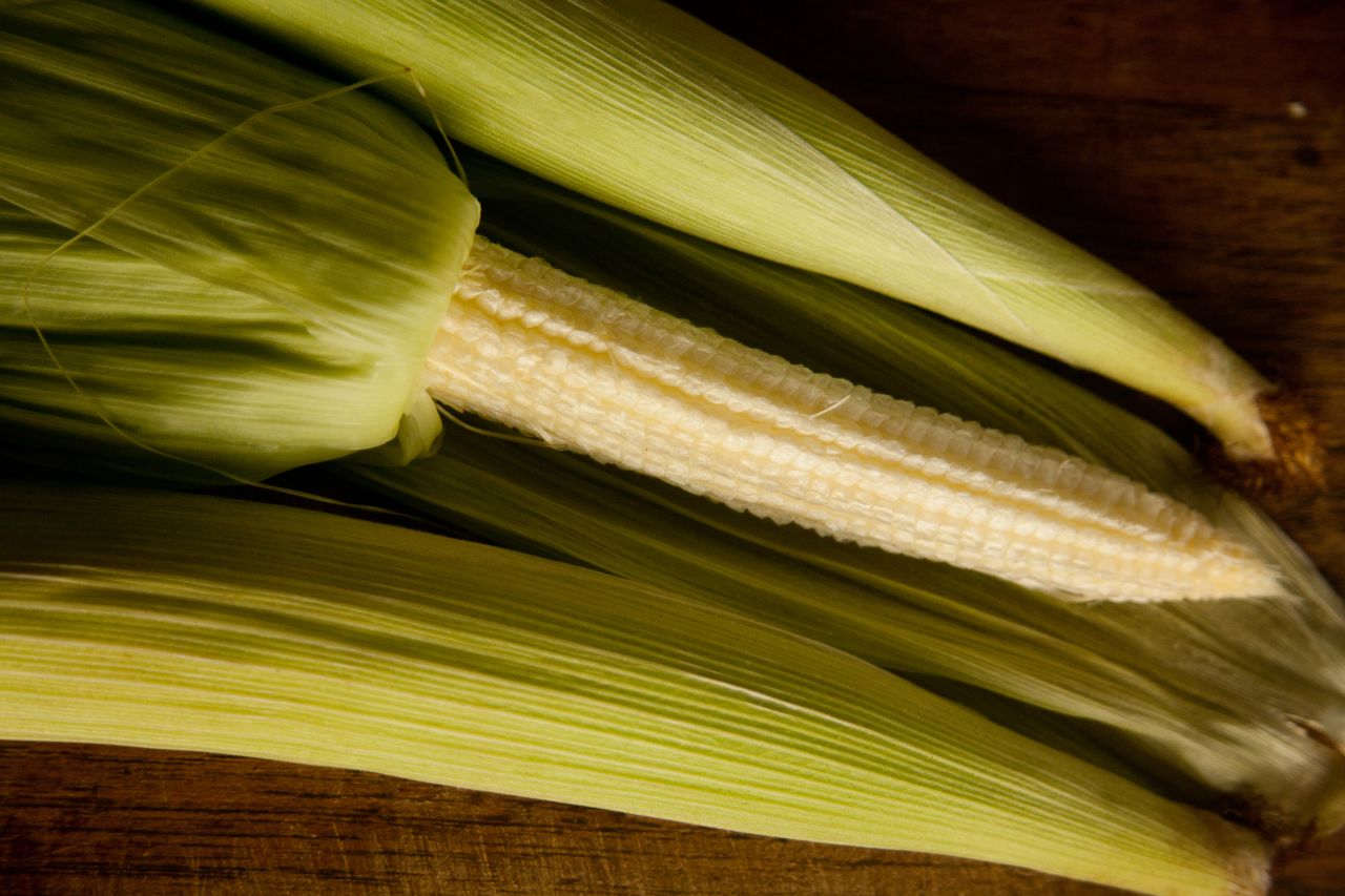 Corn Stalk Stock Free