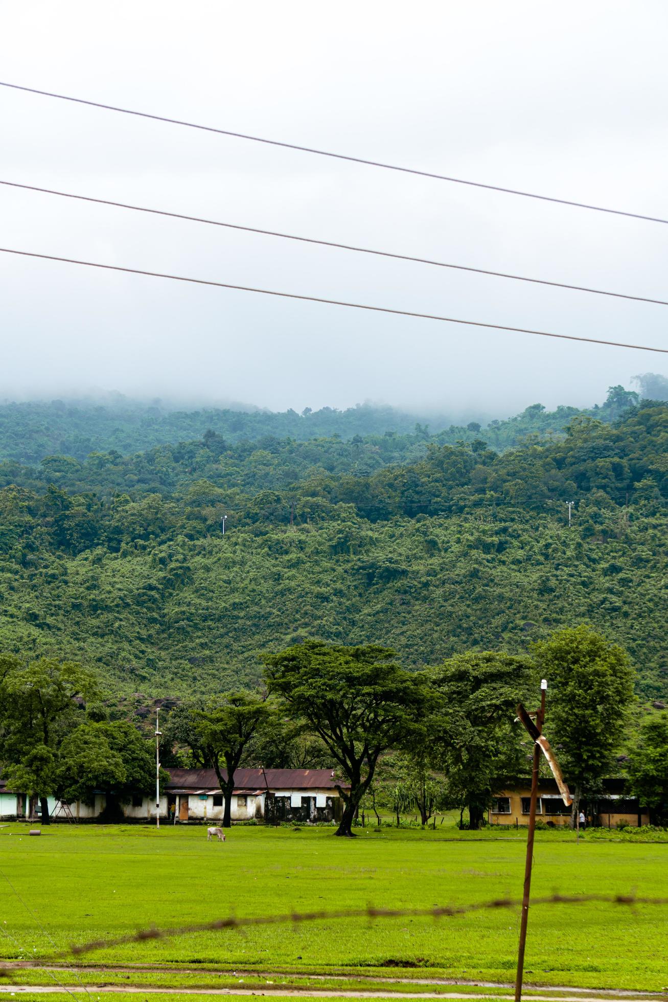 Natural landscape with Field and mountains, Selective Focus Stock Free