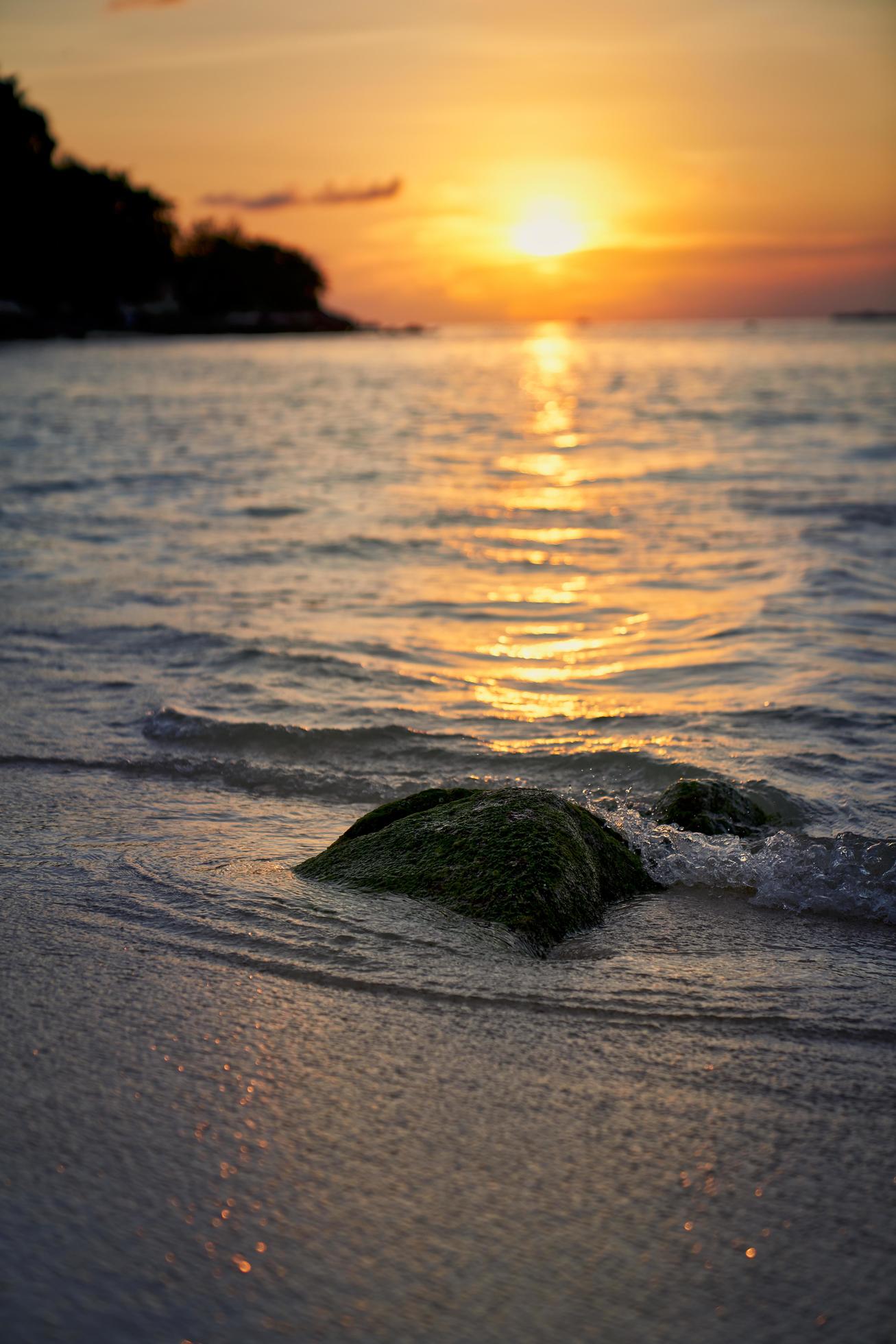 Mossy rock on beach with colorful cloudy sunset Stock Free