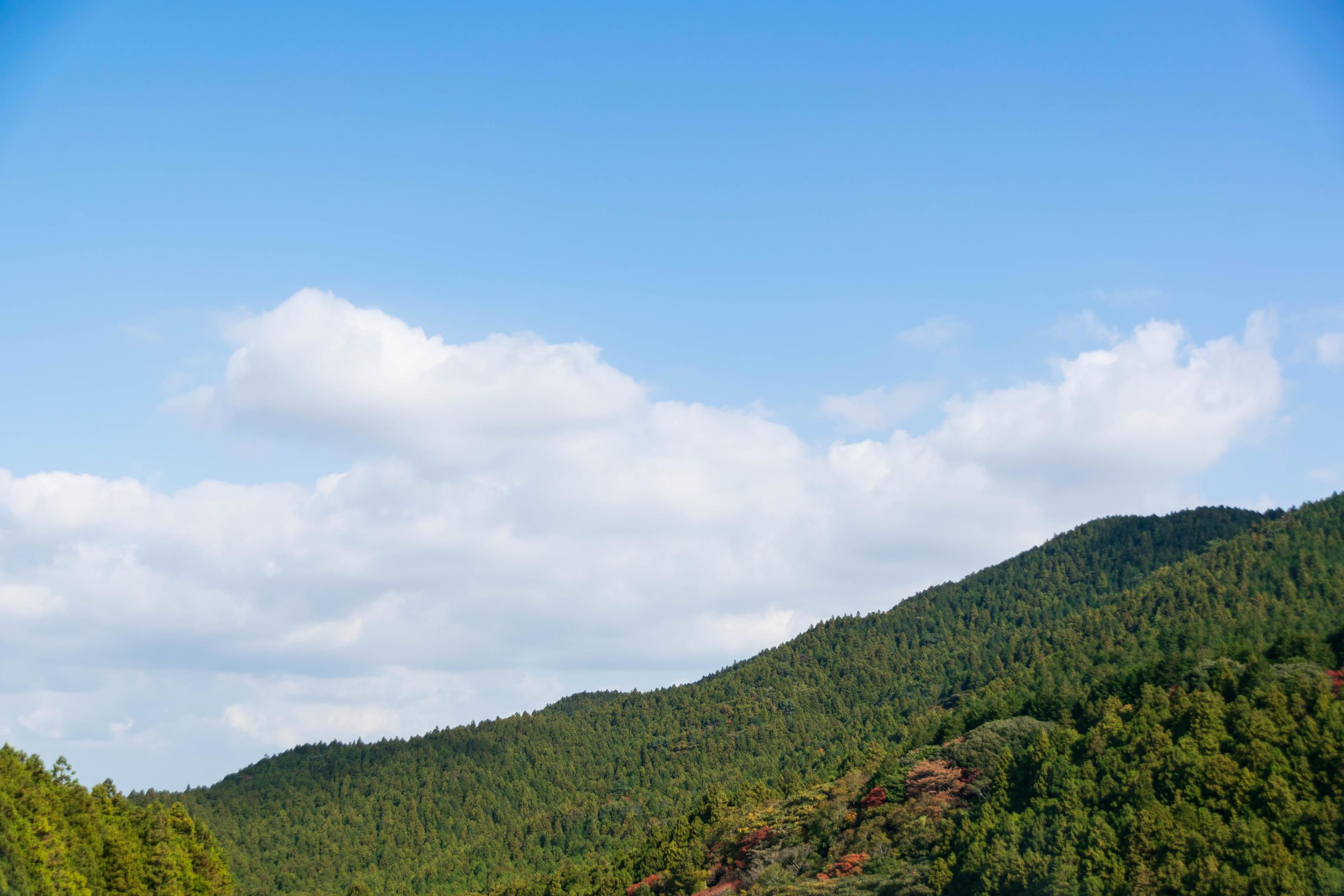 natural mountain range view with pine tree forest on the mountain under sunshine daytime with clear blue sky Stock Free