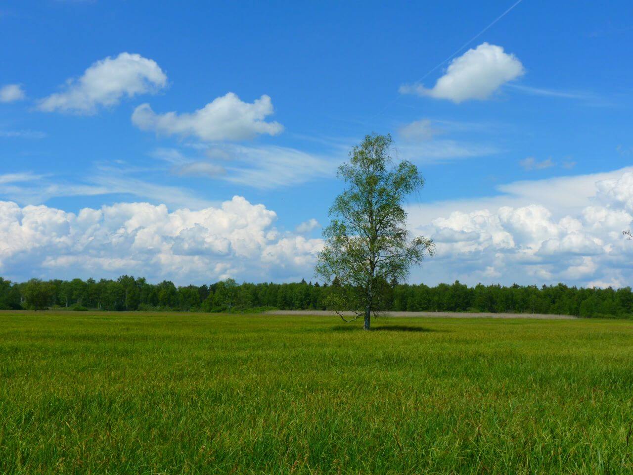 Clouds Stock Free