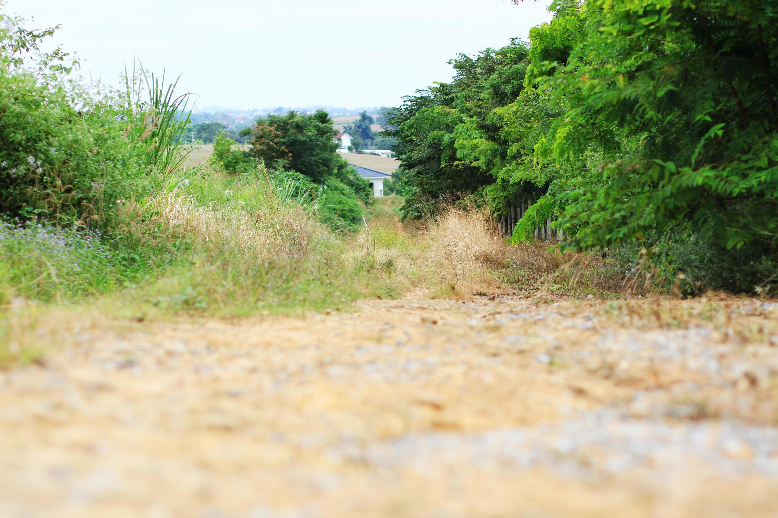 Gravel ground on natural walkway into the forest and village on the mountain in Thailand Stock Free