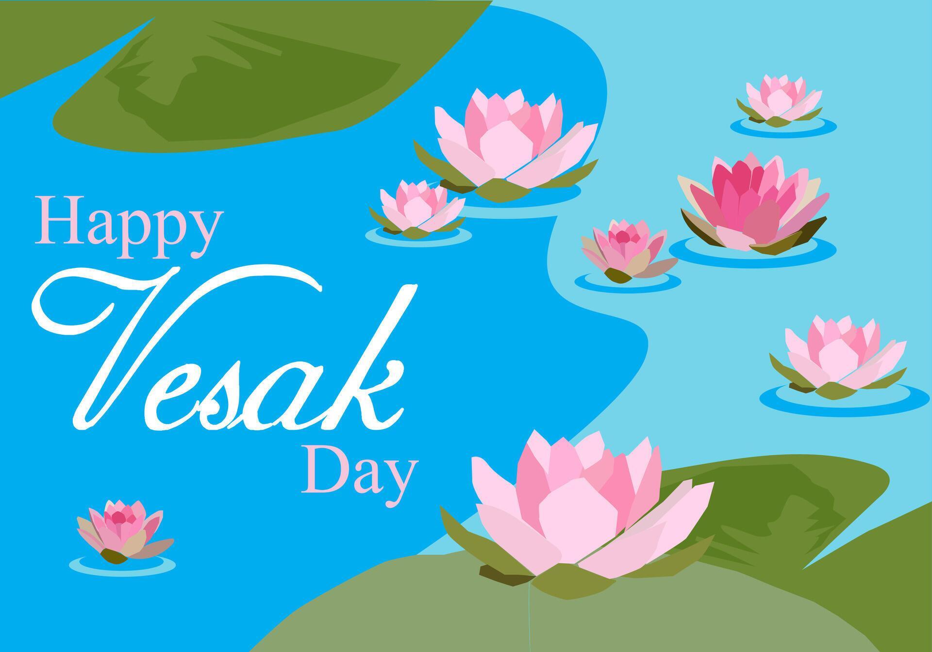 pink lotus flowers grow on blue river water and green leaf happy vesak day Stock Free