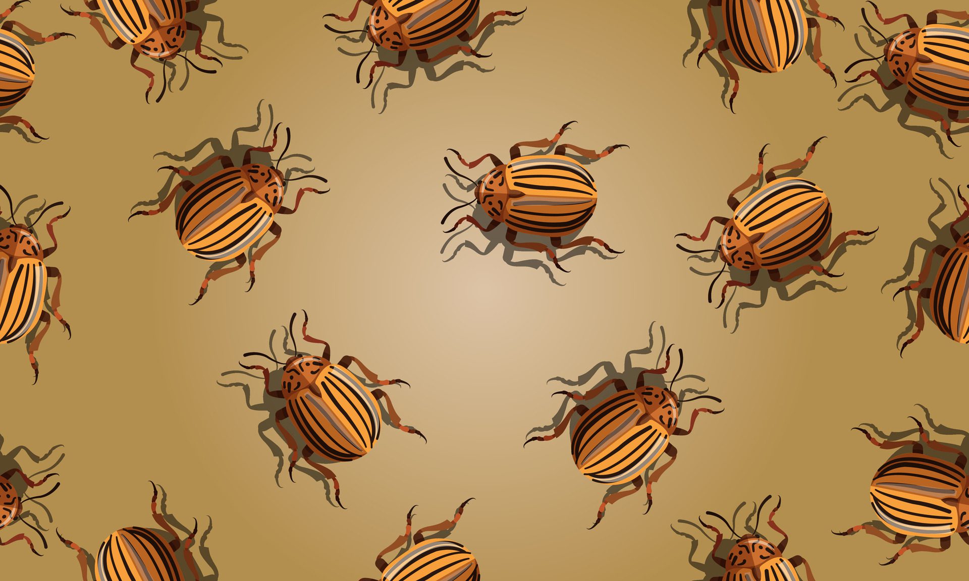 seamless pattern with insect and shadow. bugs. fun background. Free Vector