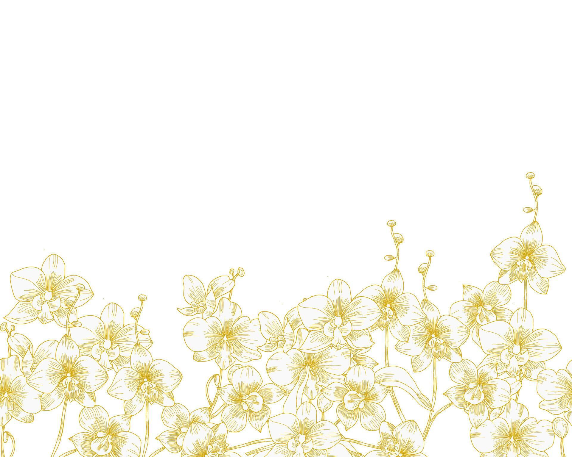 Hand Drawn Orchid Flower Background Stock Free