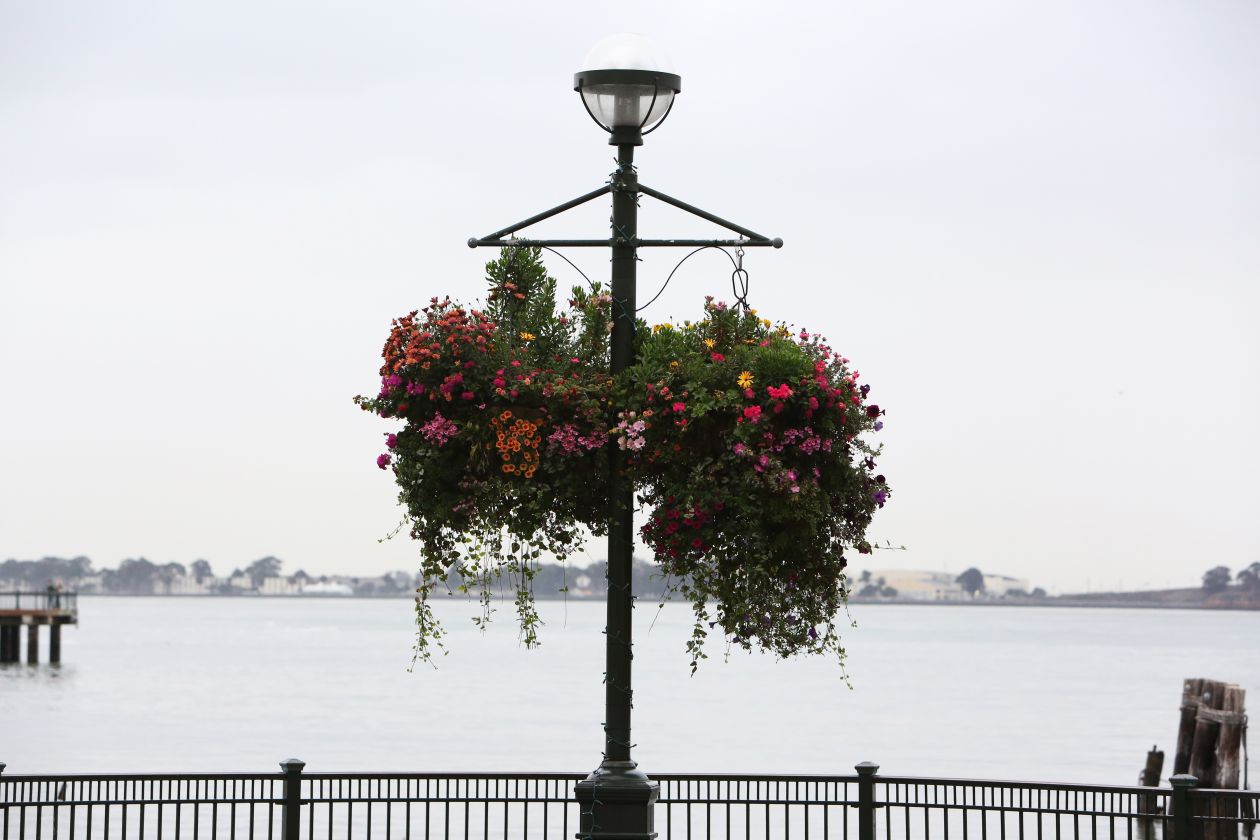 Flowery Street Lamp Stock Free