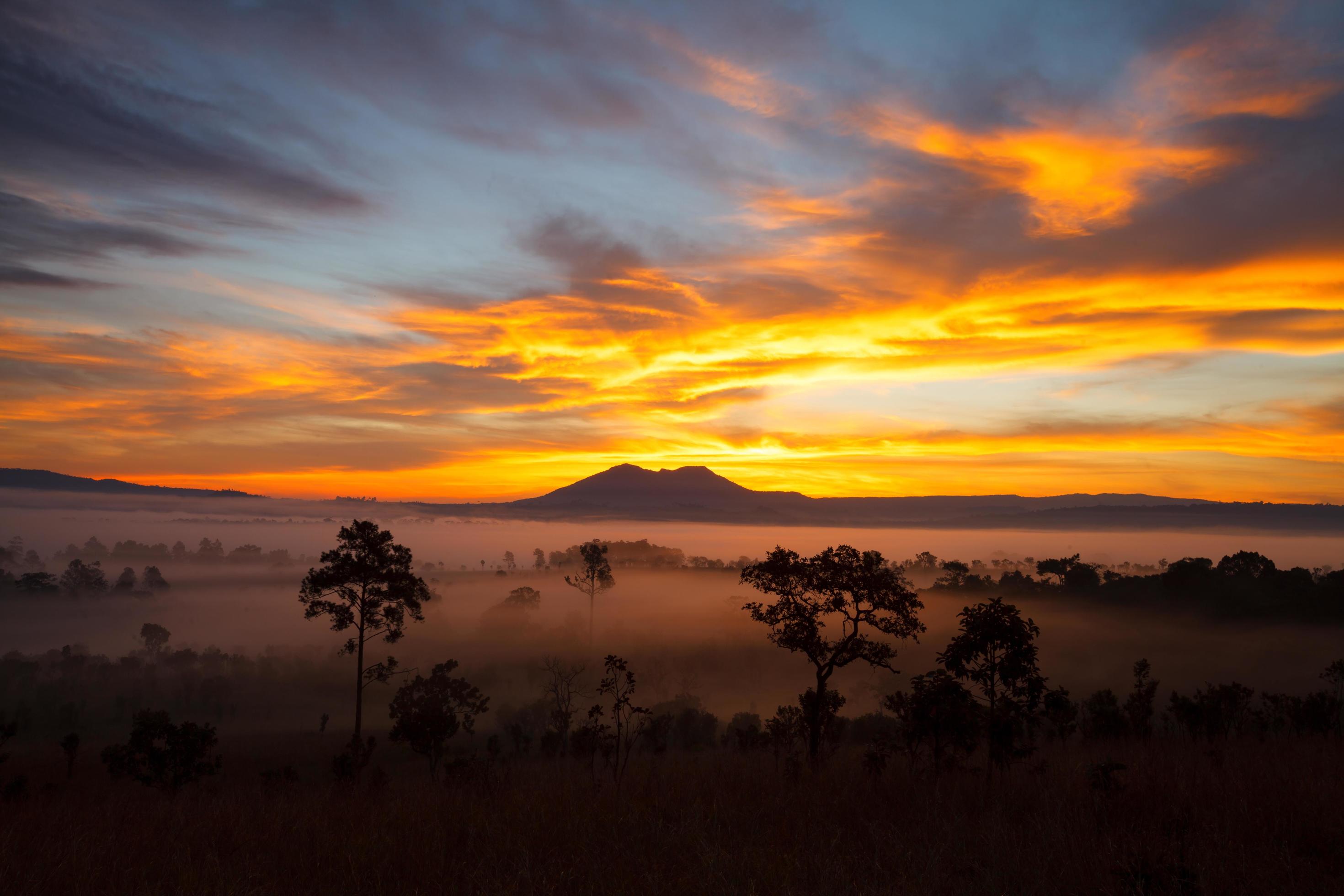 Misty morning sunrise at Thung Salang Luang National Park Phetchabun,Tung slang luang is Grassland savannah in Thailand Stock Free