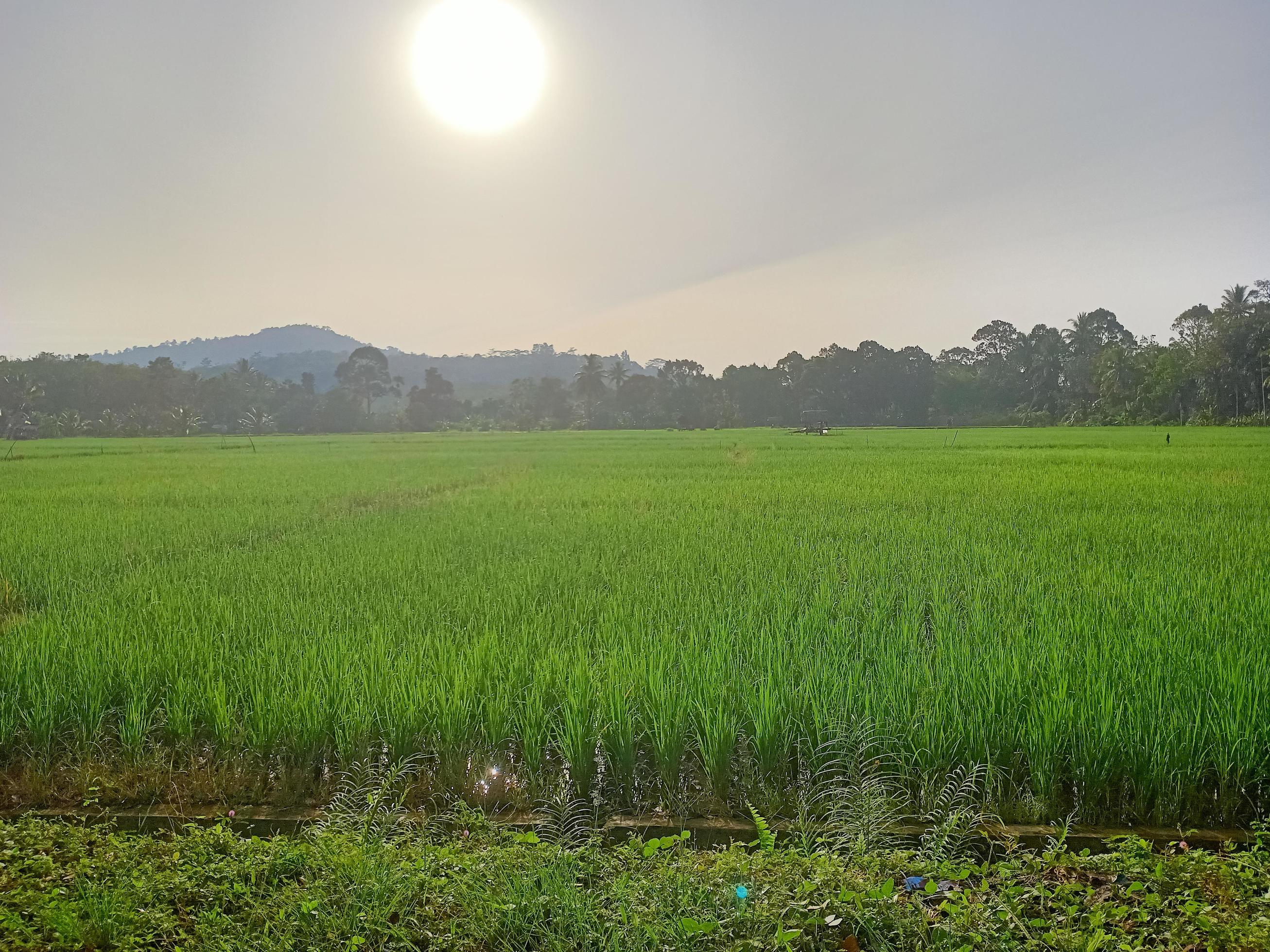 
									Beautiful natural scenery during the day, the sky is blue, the clouds Stock Free