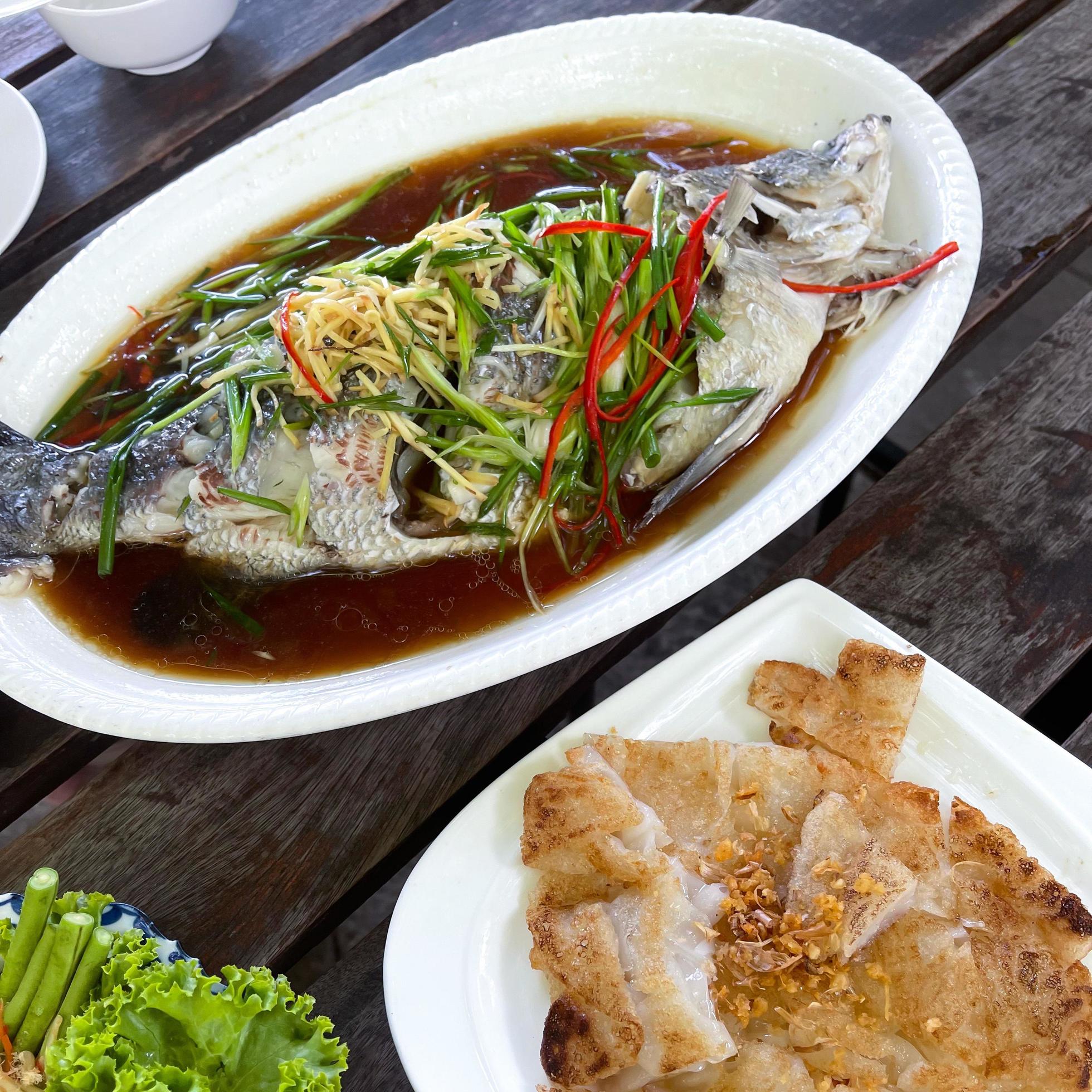 The snapper is cooked by steaming with soy sauce Served with fried tapioca noodles. Thai food Style top view. Fish menu. Stock Free