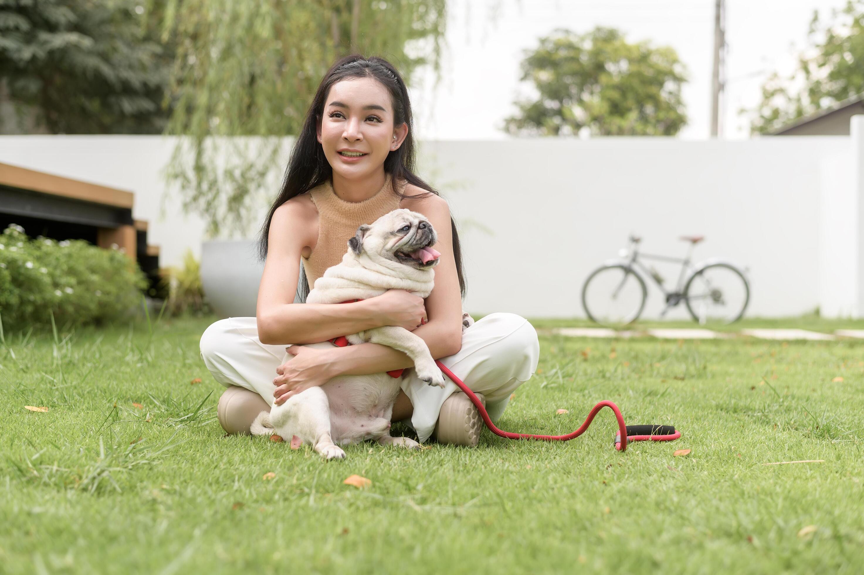 Happy asian woman playing with Cute Smart pug Puppy Dog In the Backyard Stock Free