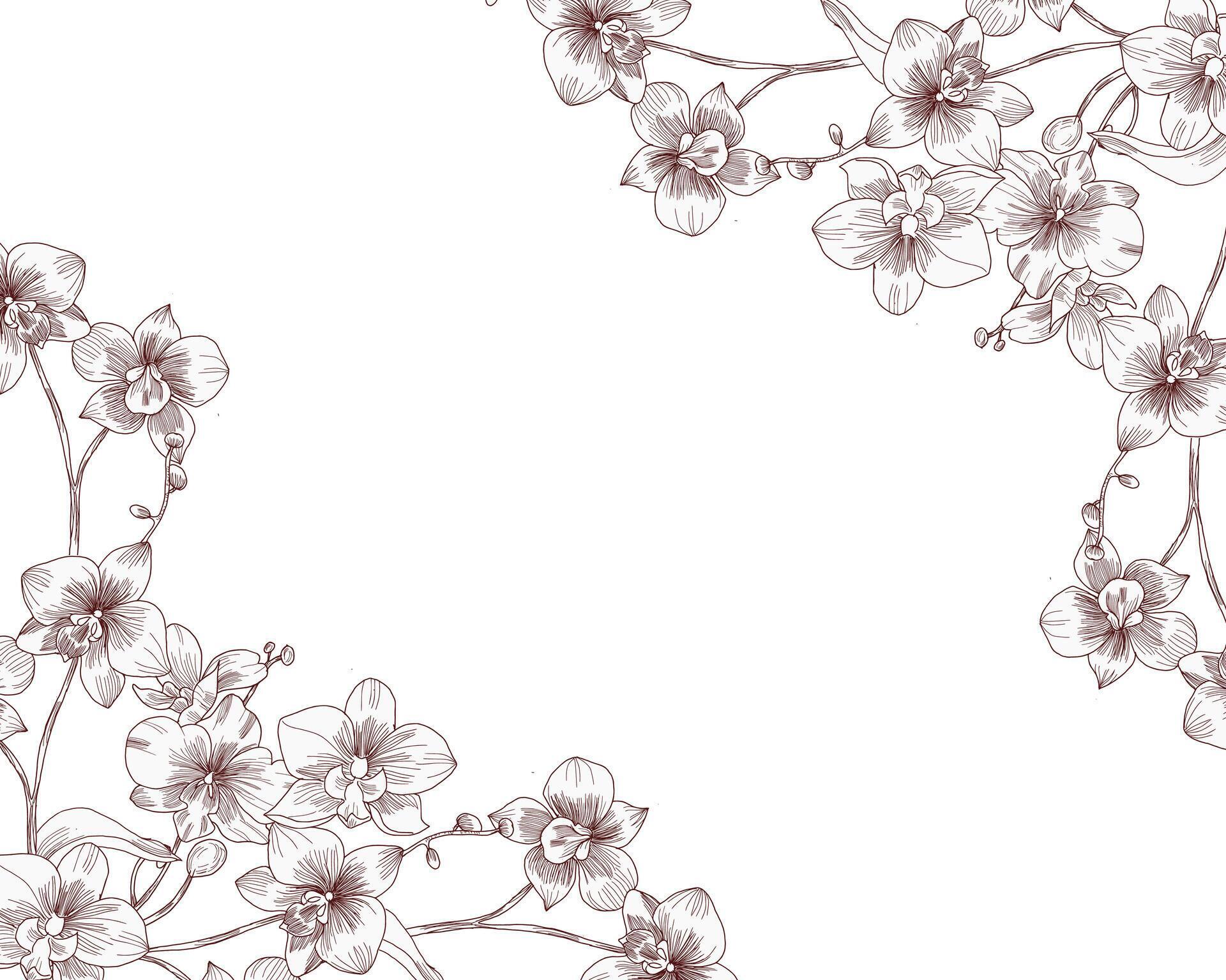 Hand Drawn Orchid Flower Border Stock Free