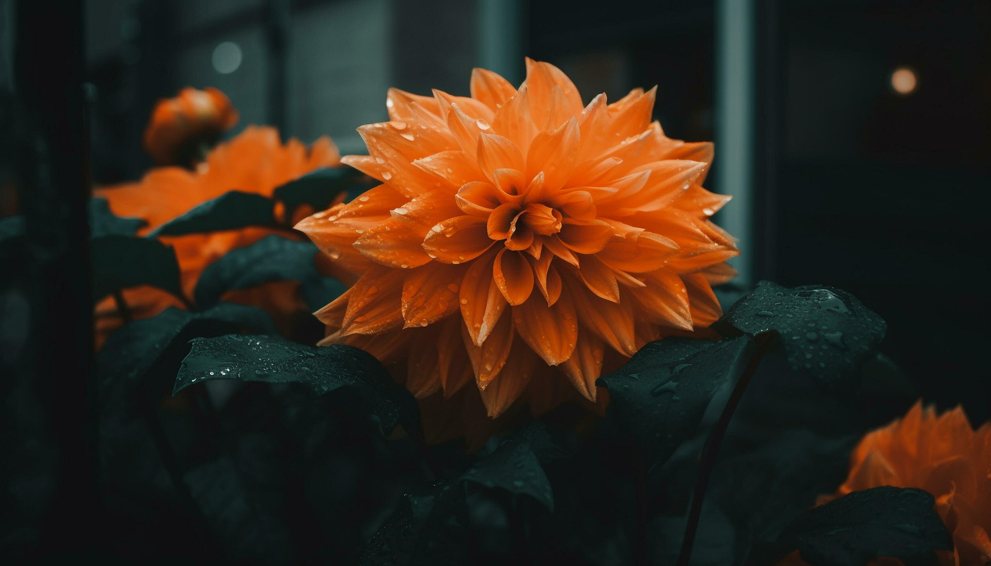 Vibrant yellow flower head with wet petals in close up generated by AI Stock Free