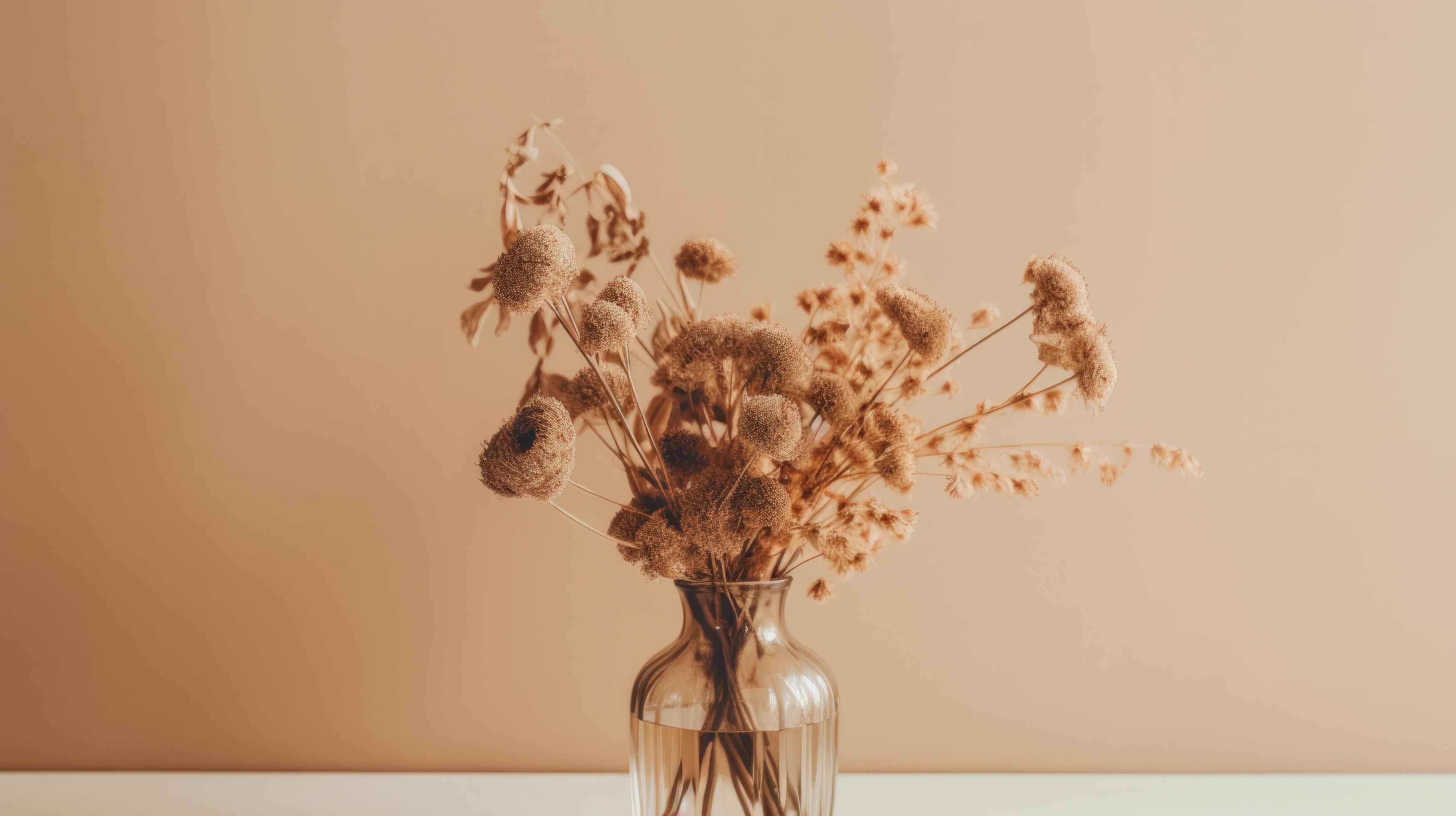 Minimalist background with dry flowers. Illustration Stock Free