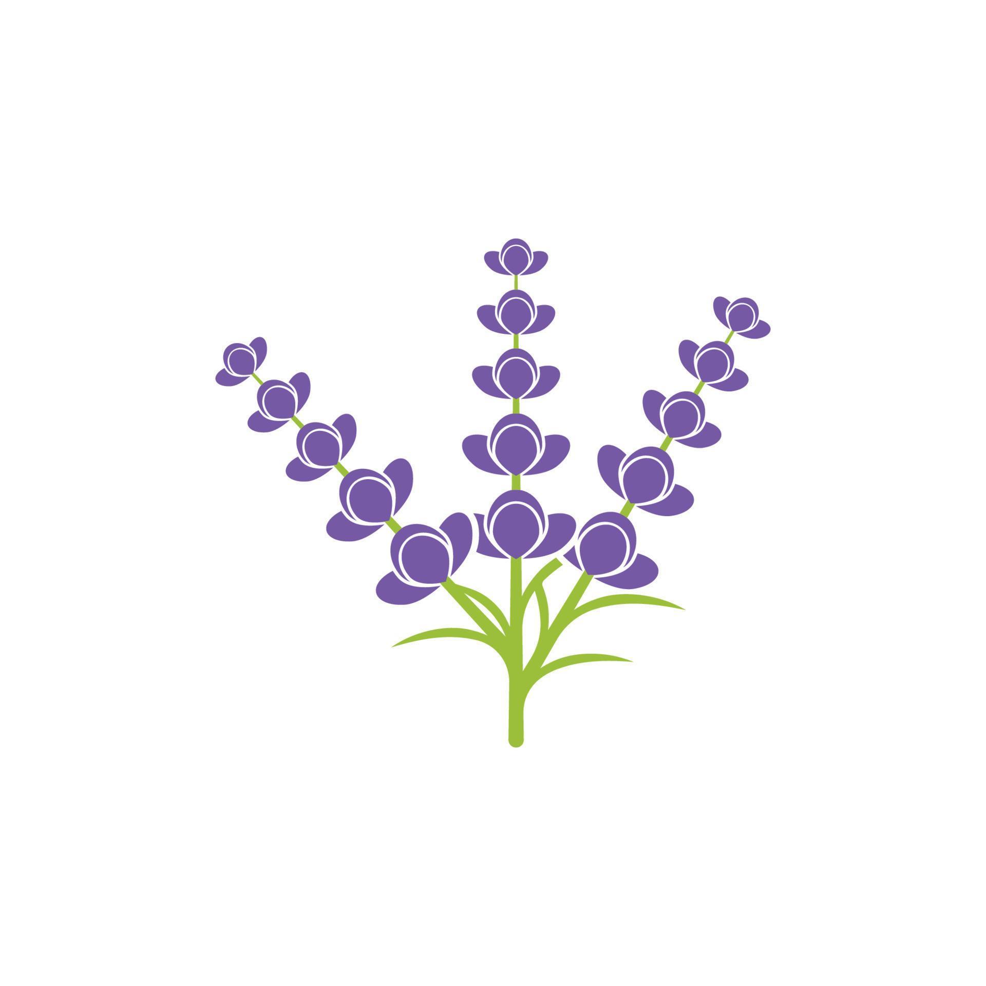 Fresh lavender flower logo vector Stock Free