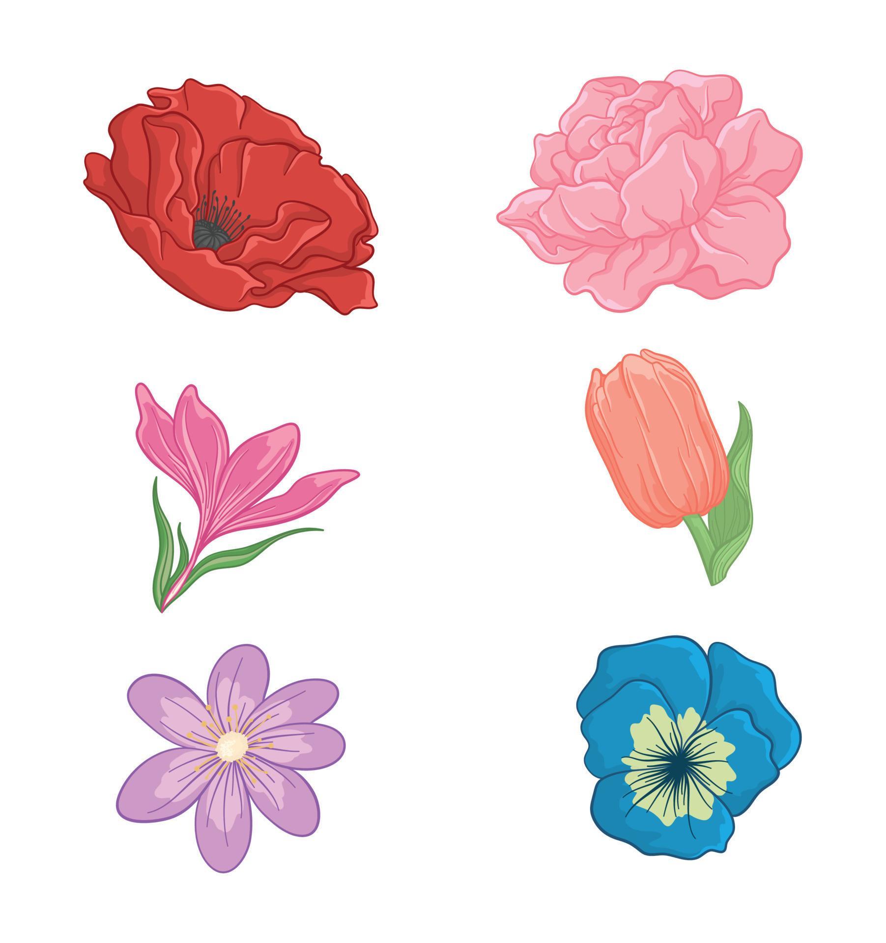 colorful spring flowers collection set Stock Free