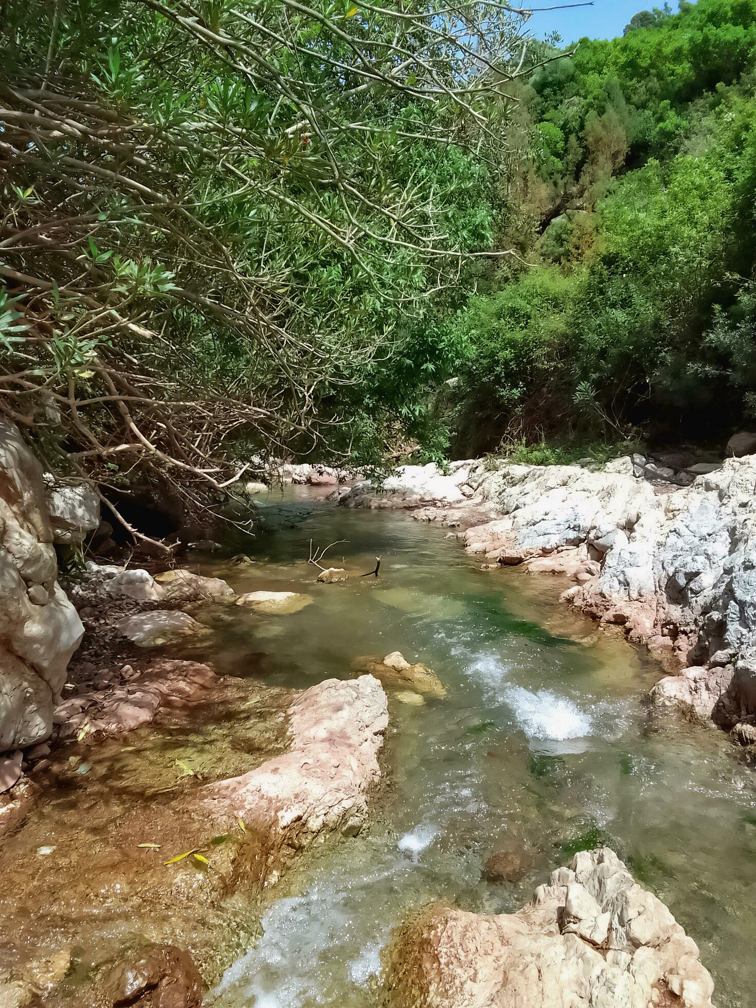 Serene summer stream valley a natural oasis amidst the summer heat Stock Free