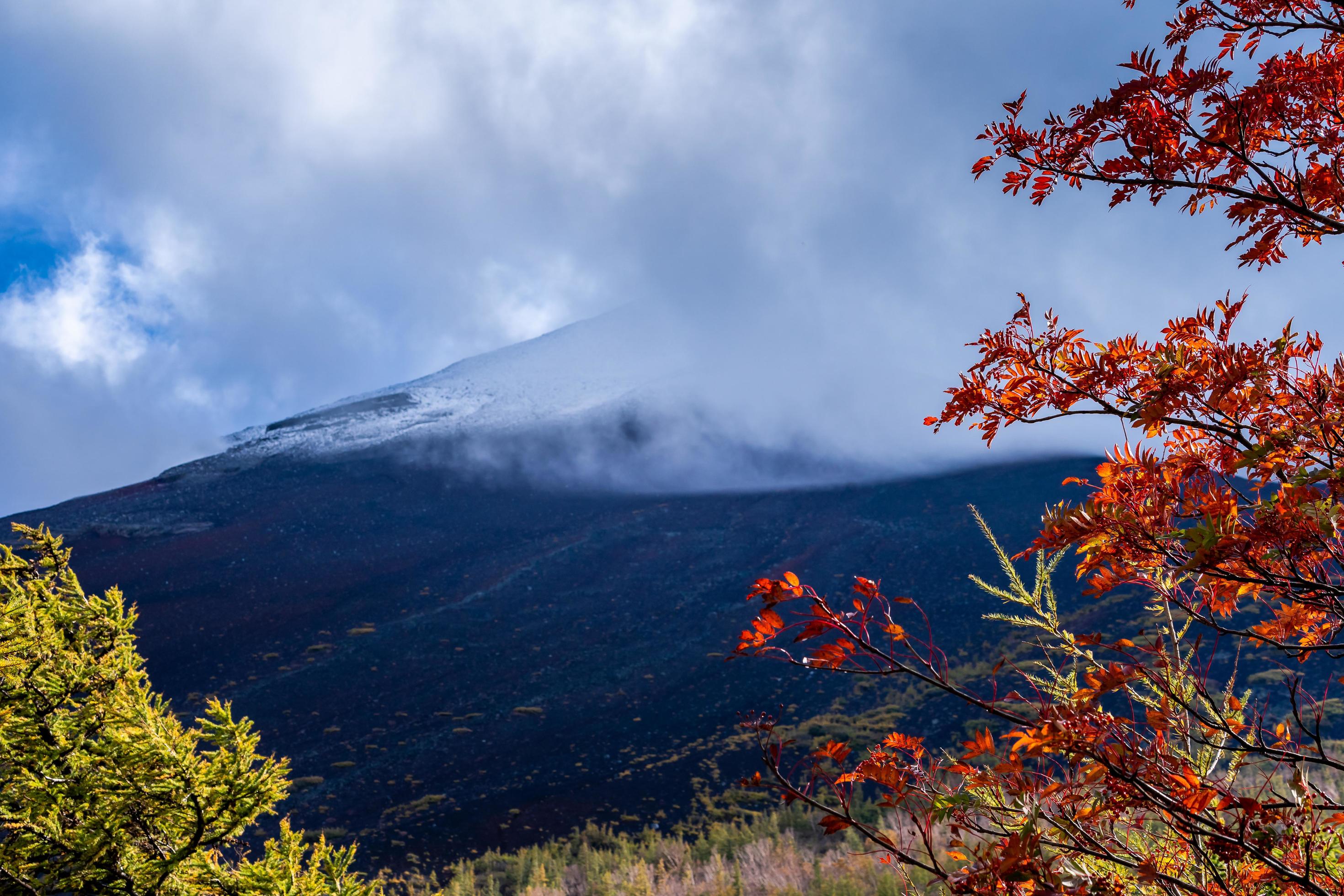 Background close up mount fuji. Stock Free