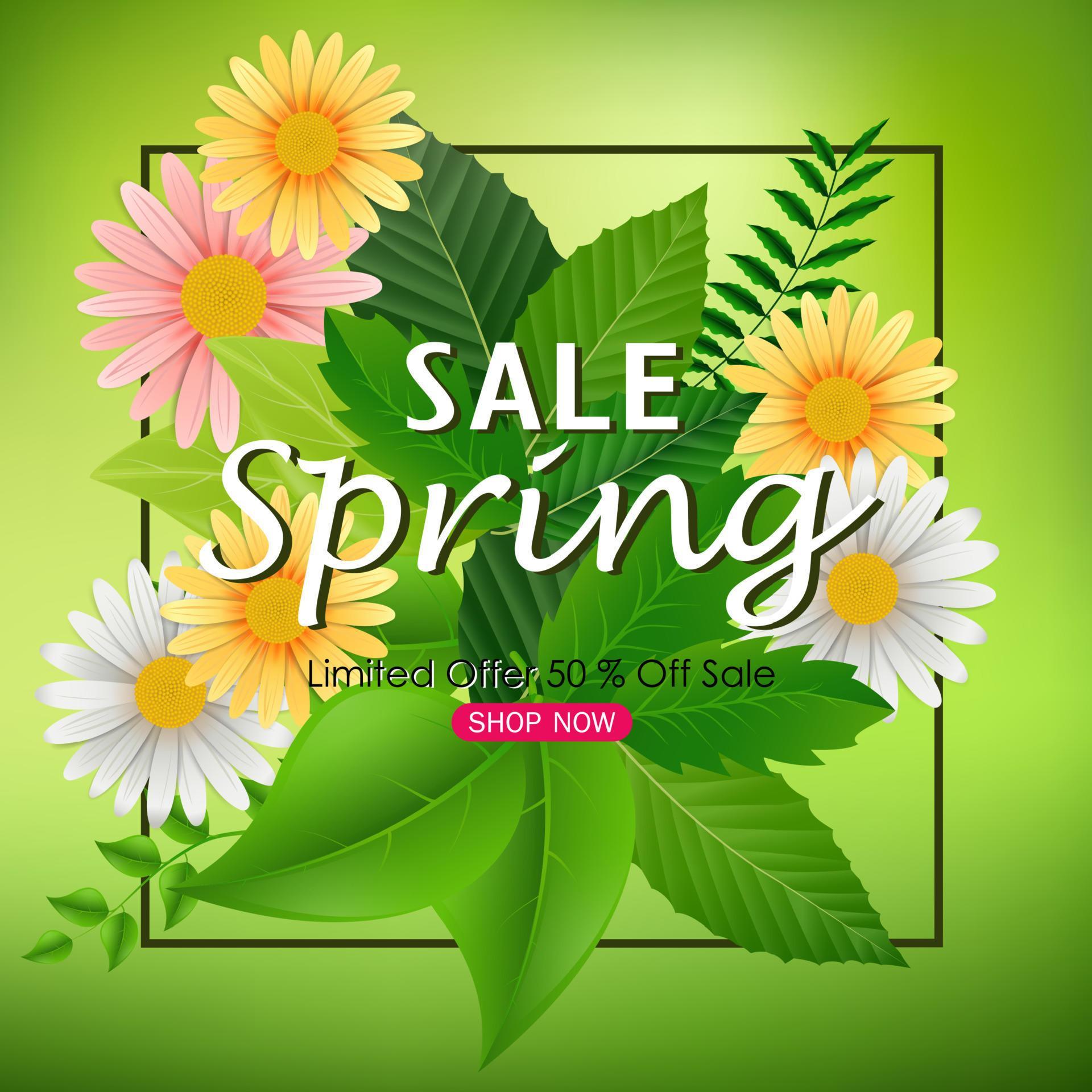 Spring sale background banner with beautiful colorful flower and green leaves Stock Free