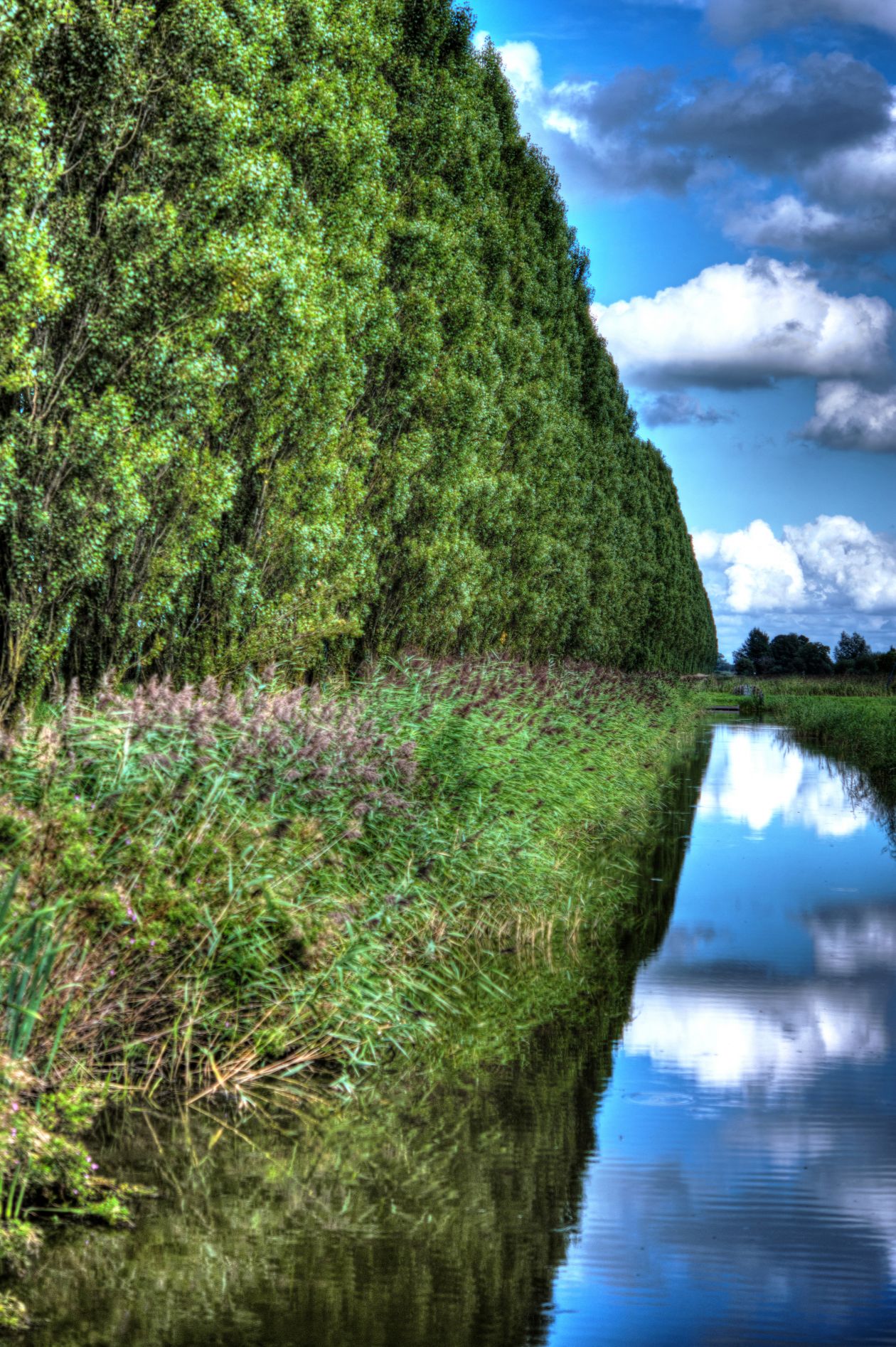 Dutch HDR Stock Free