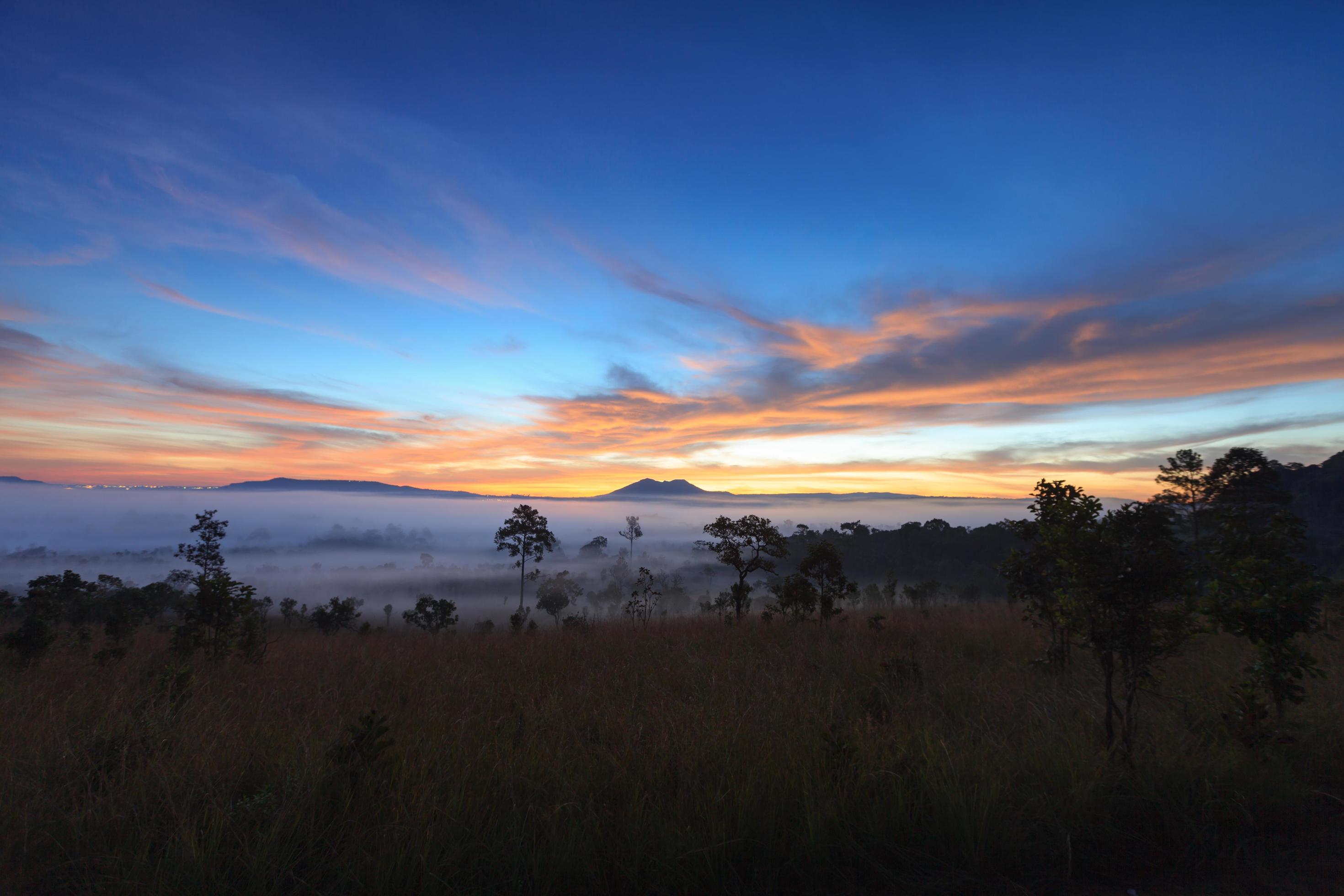 Misty morning sunrise at Thung Salang Luang National Park Phetchabun,Tung slang luang is Grassland savannah in Thailand Stock Free