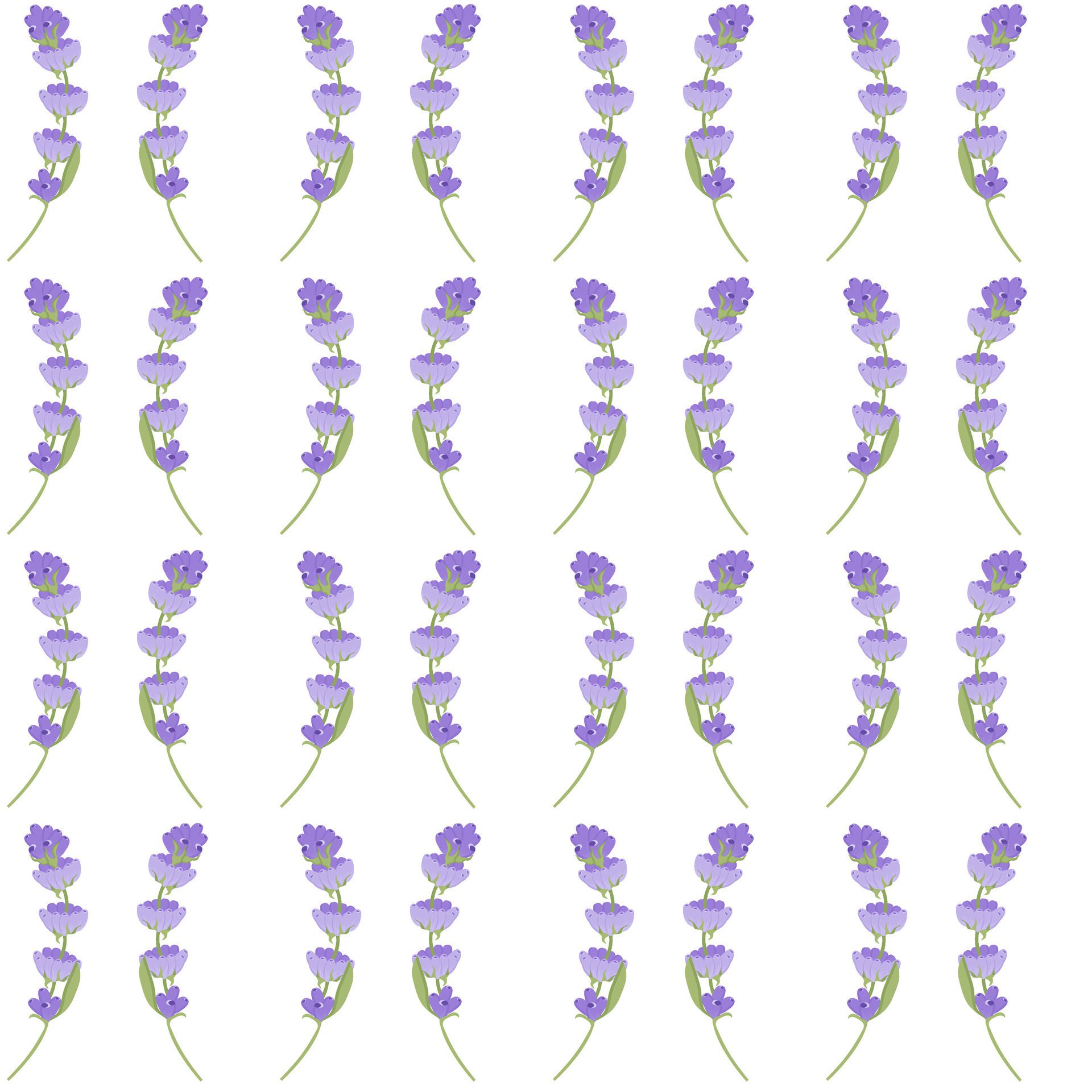 A sprig of lavender. Purple flower. Seamless pattern. illustration. Free Vector