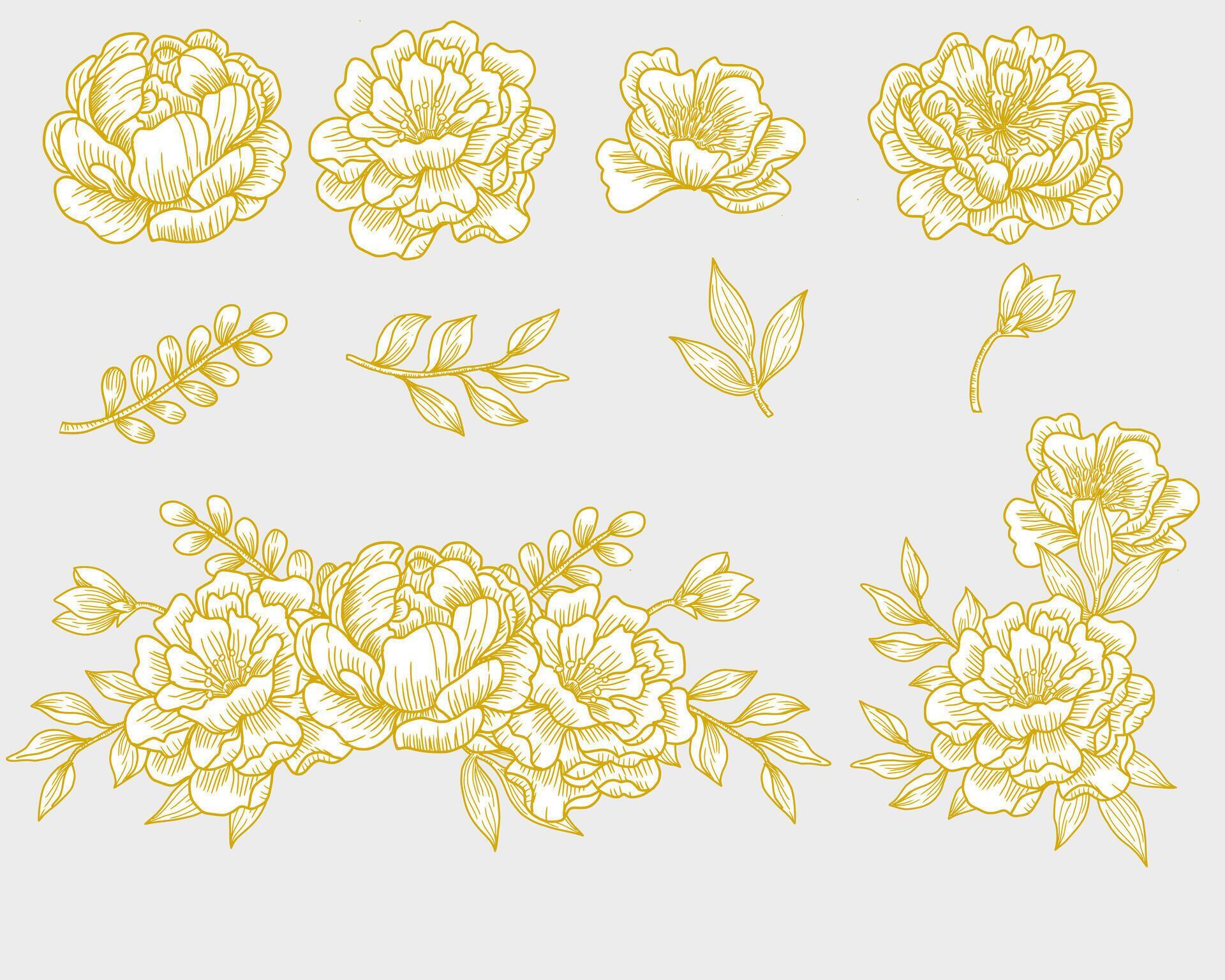 Peony and Hand Drawn Rose Flower Stock Free