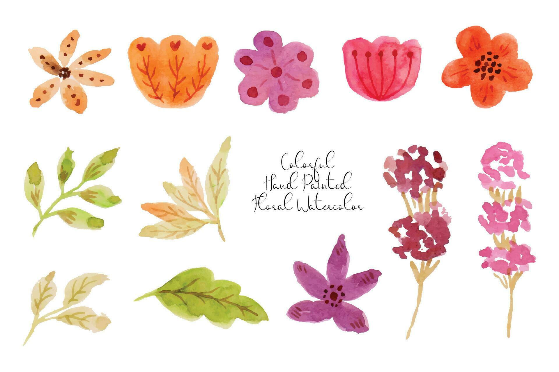 Beautiful Flower and Leaf Watercolor Collection Stock Free