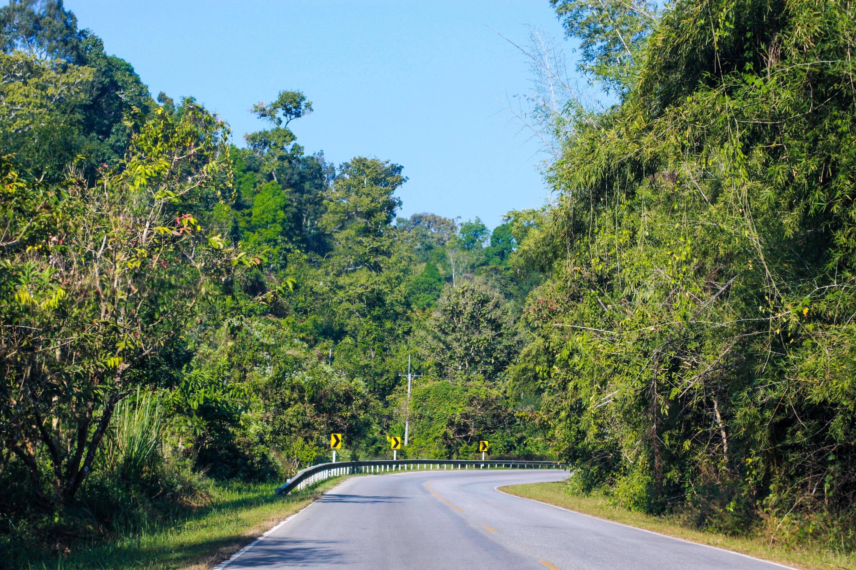 Curve road in the mountain and forest, country road in Thailand Stock Free