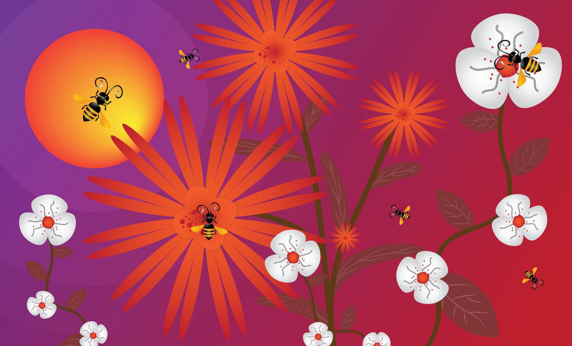 Flowers, sunrise and bees or insects on flowers illustration background with nature concept. Stock Free