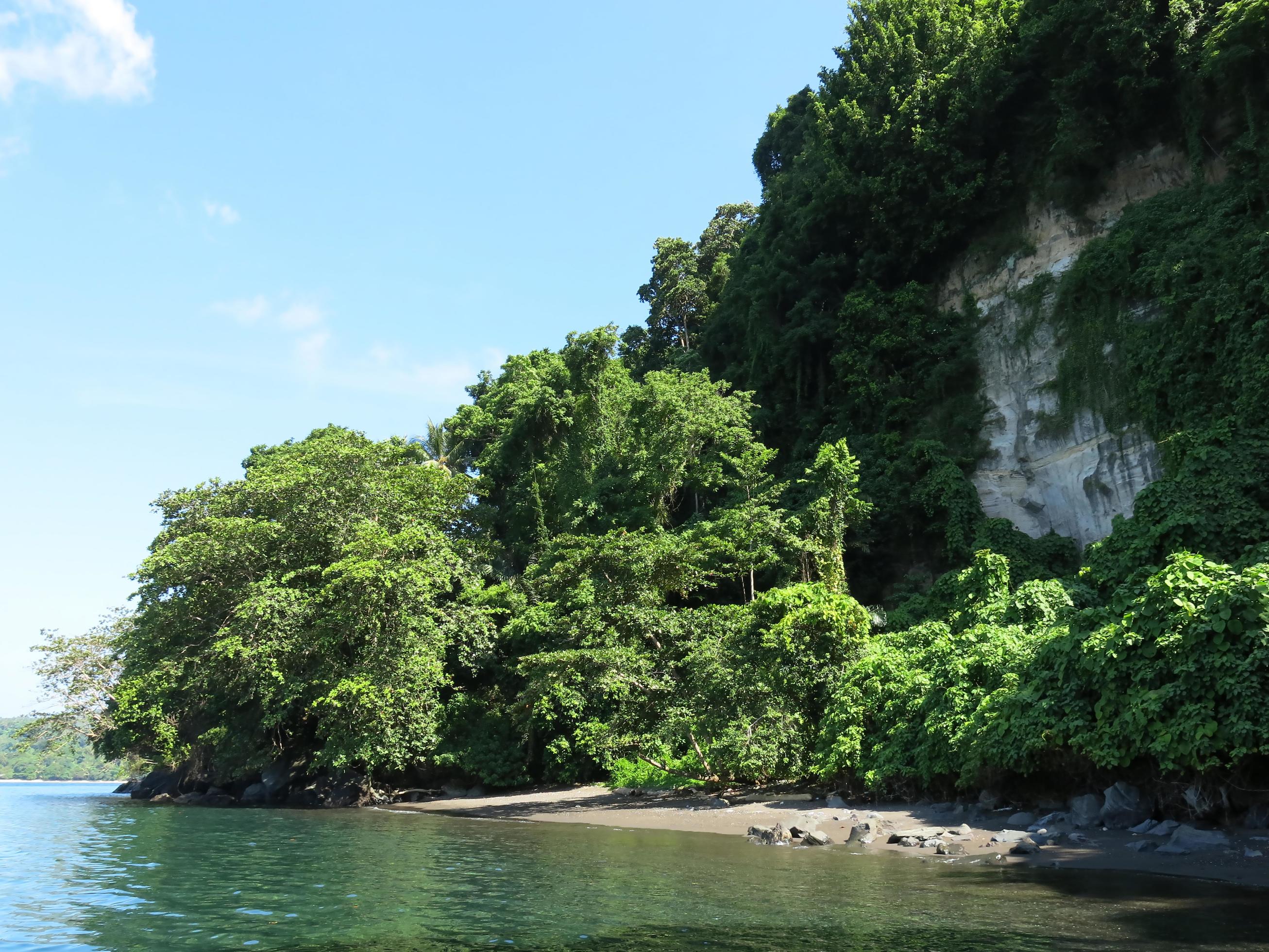 The nature of the Lembeh Strait. Stock Free