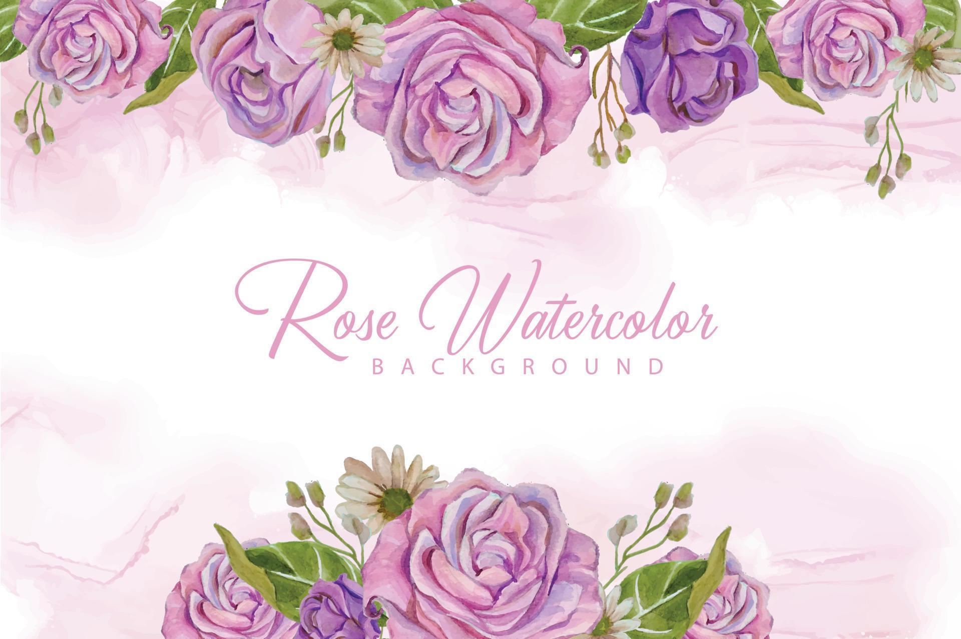 watercolor rose flower background frame Stock Free