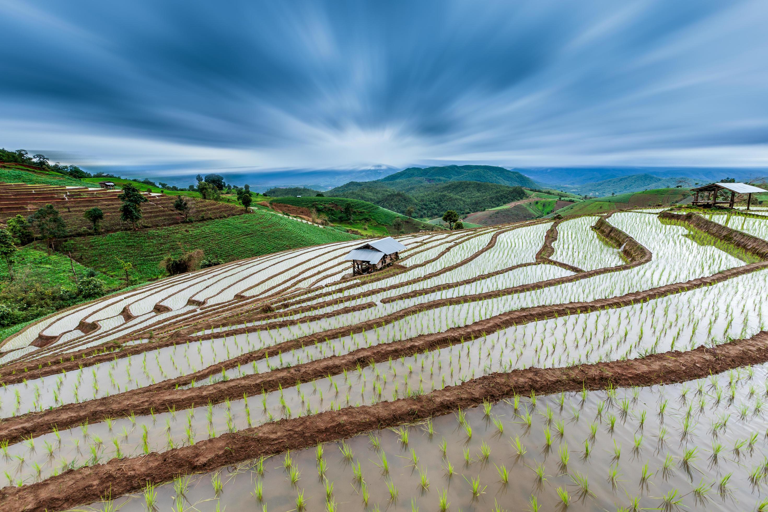 Terraced Paddy Field in Mae-Jam Village , Chaingmai Province , Thailand with radial blur effect. Stock Free