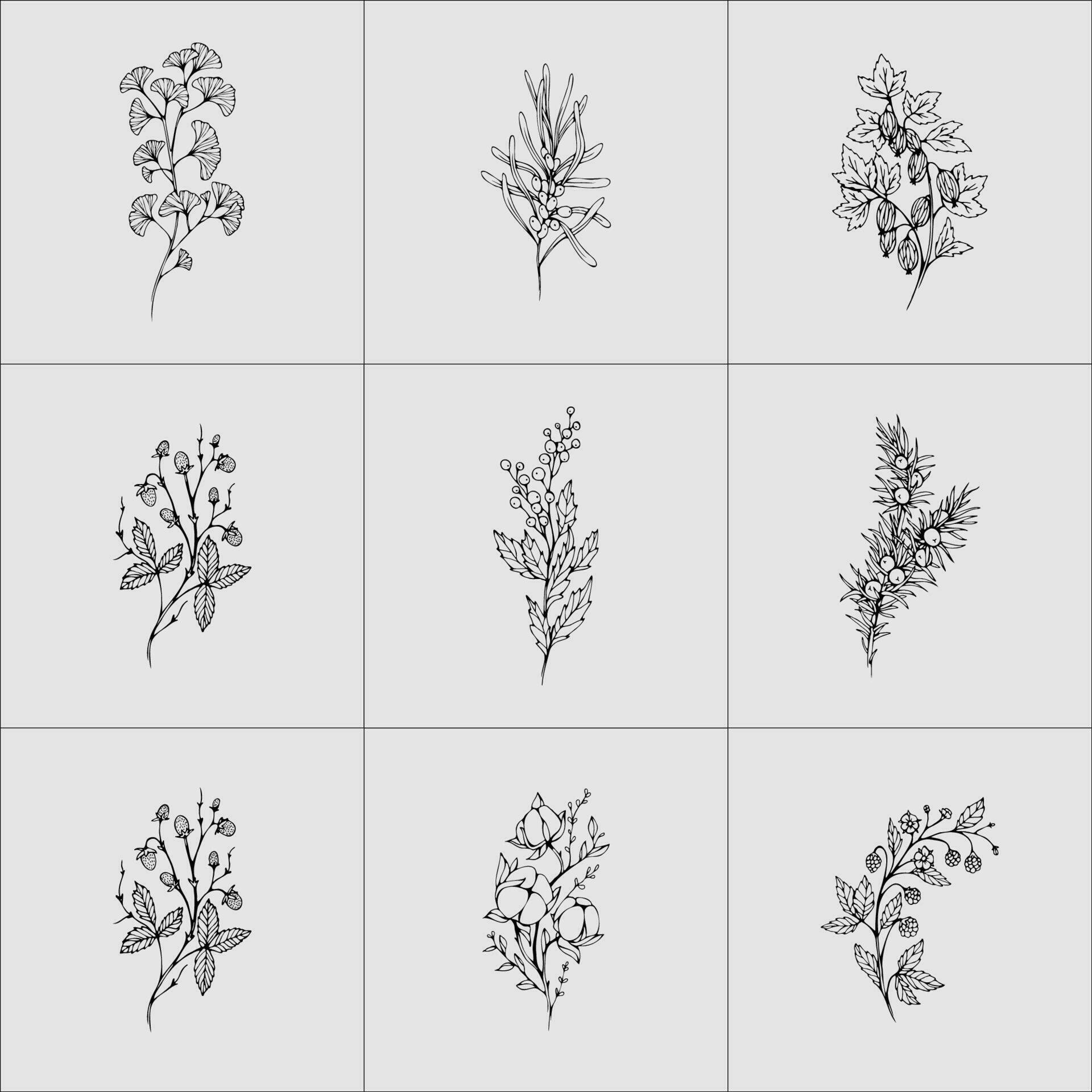 botanical floral branch and minimalist flowers for logo or tattoo hand drawn line flower set Stock Free