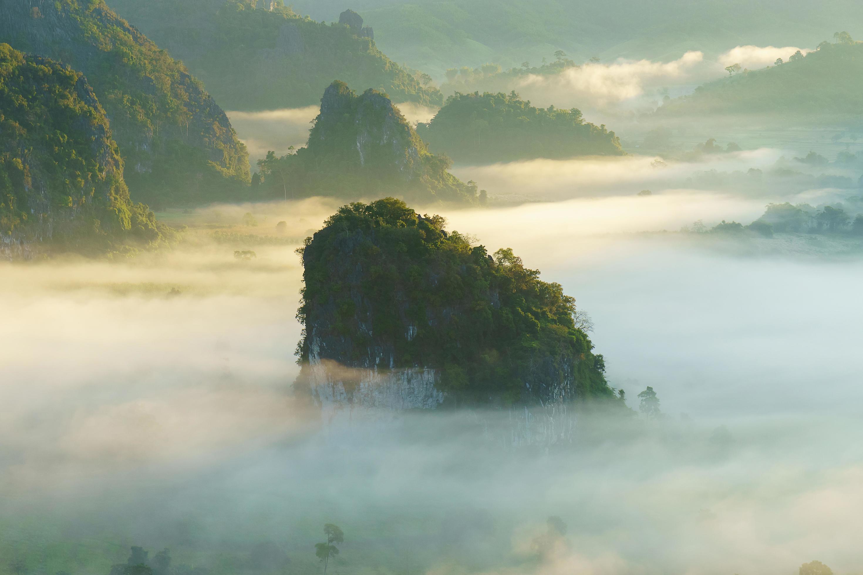 The sea of fog with forests as foreground. This place is in the Phu Lang Kha, Thailand. Stock Free