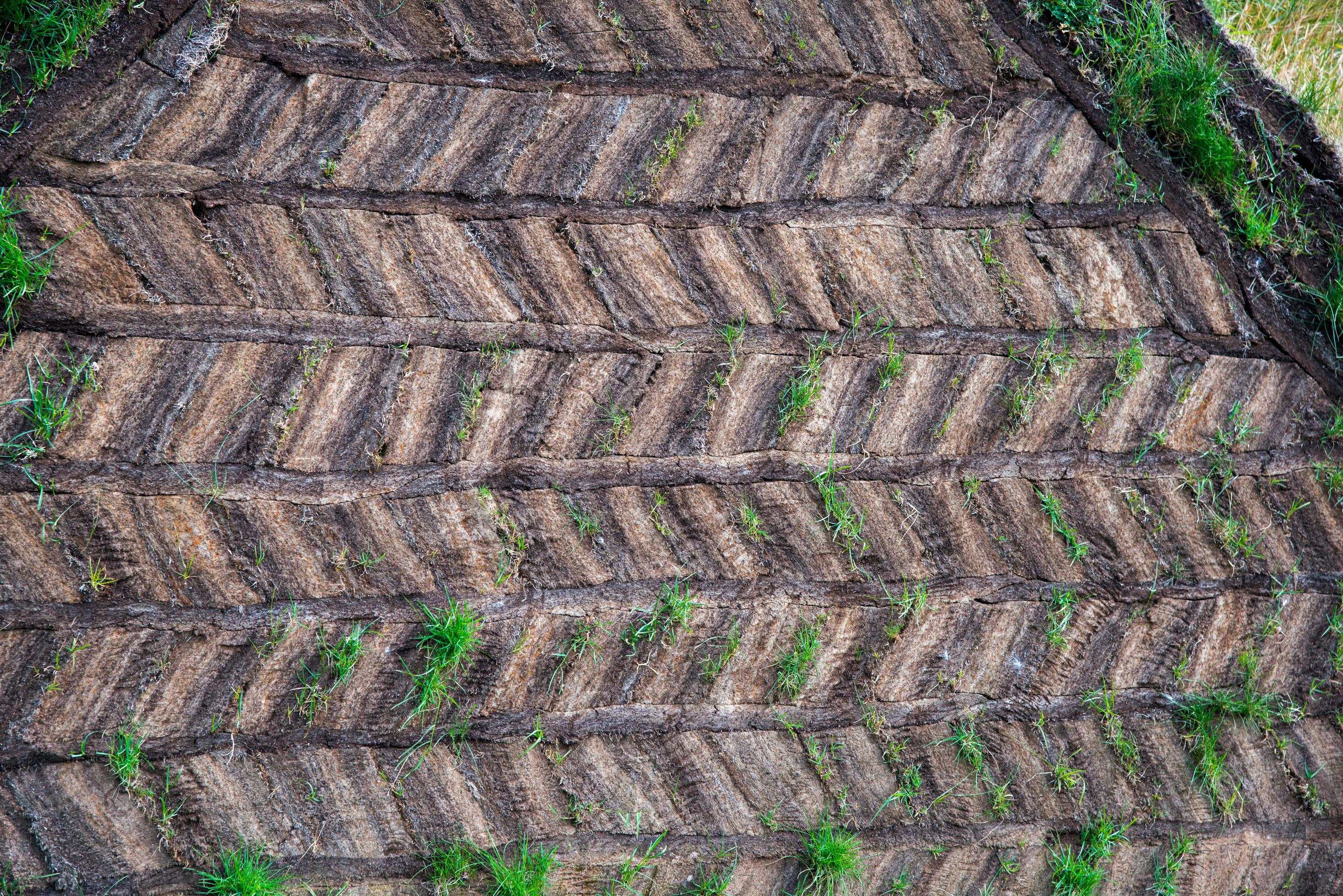 Natural pattern with soil and grass Stock Free